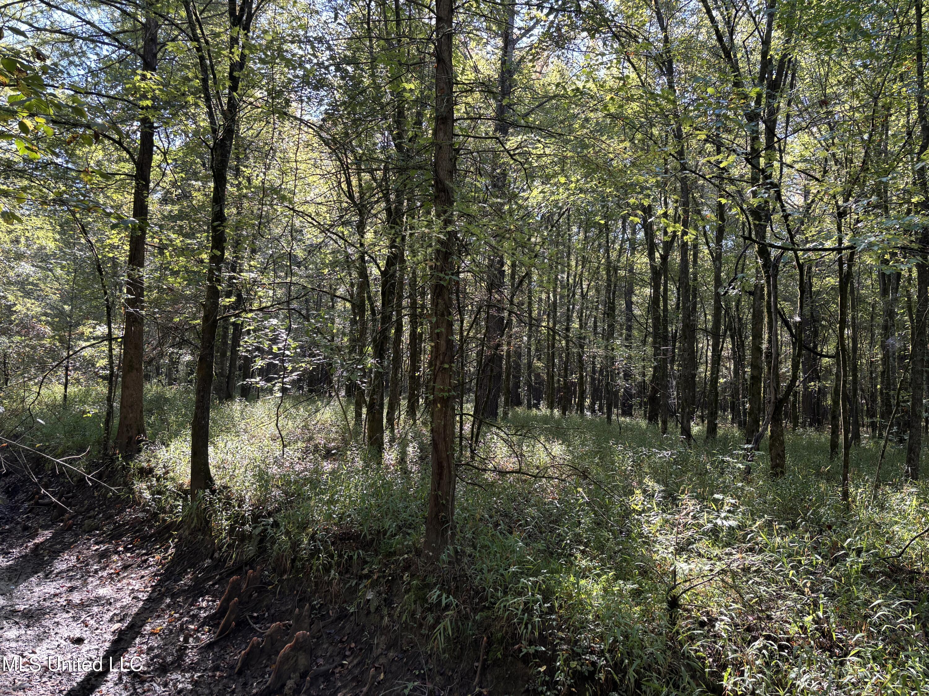 000 Ms-9 Property Photo 13