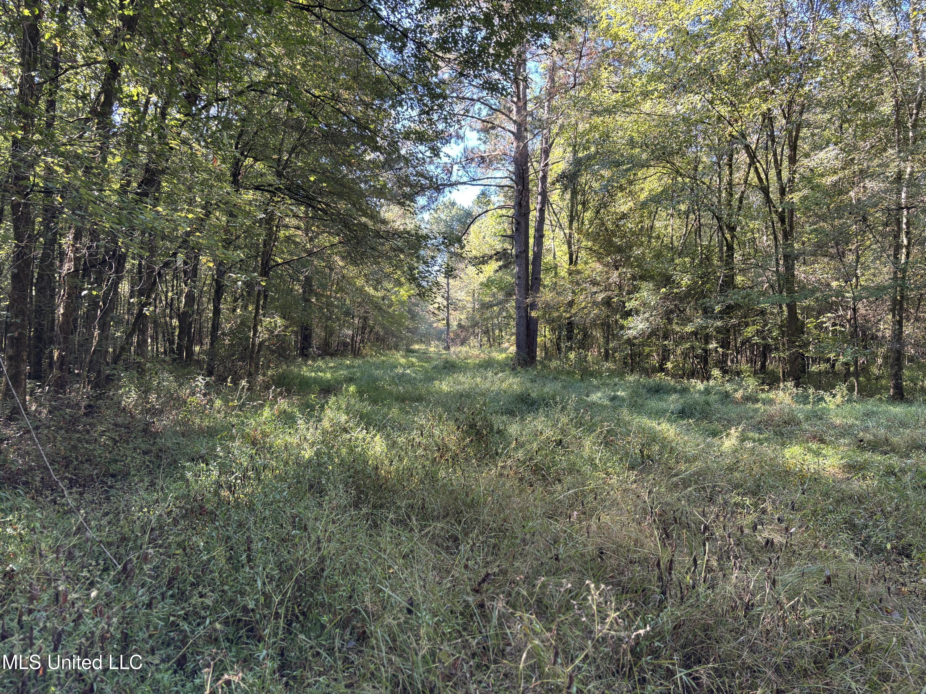 000 Ms-9 Property Photo 14