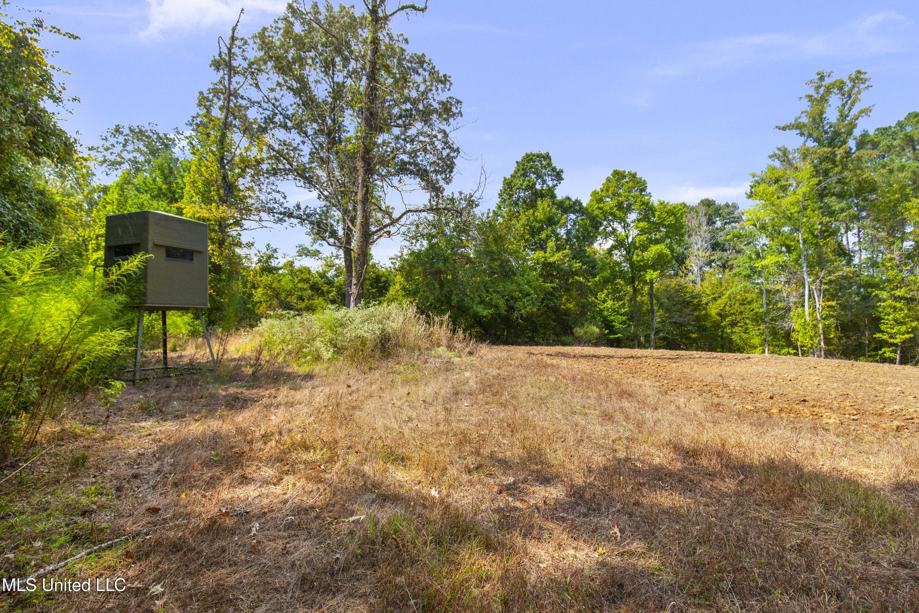2233 Holloman Road Property Photo 44