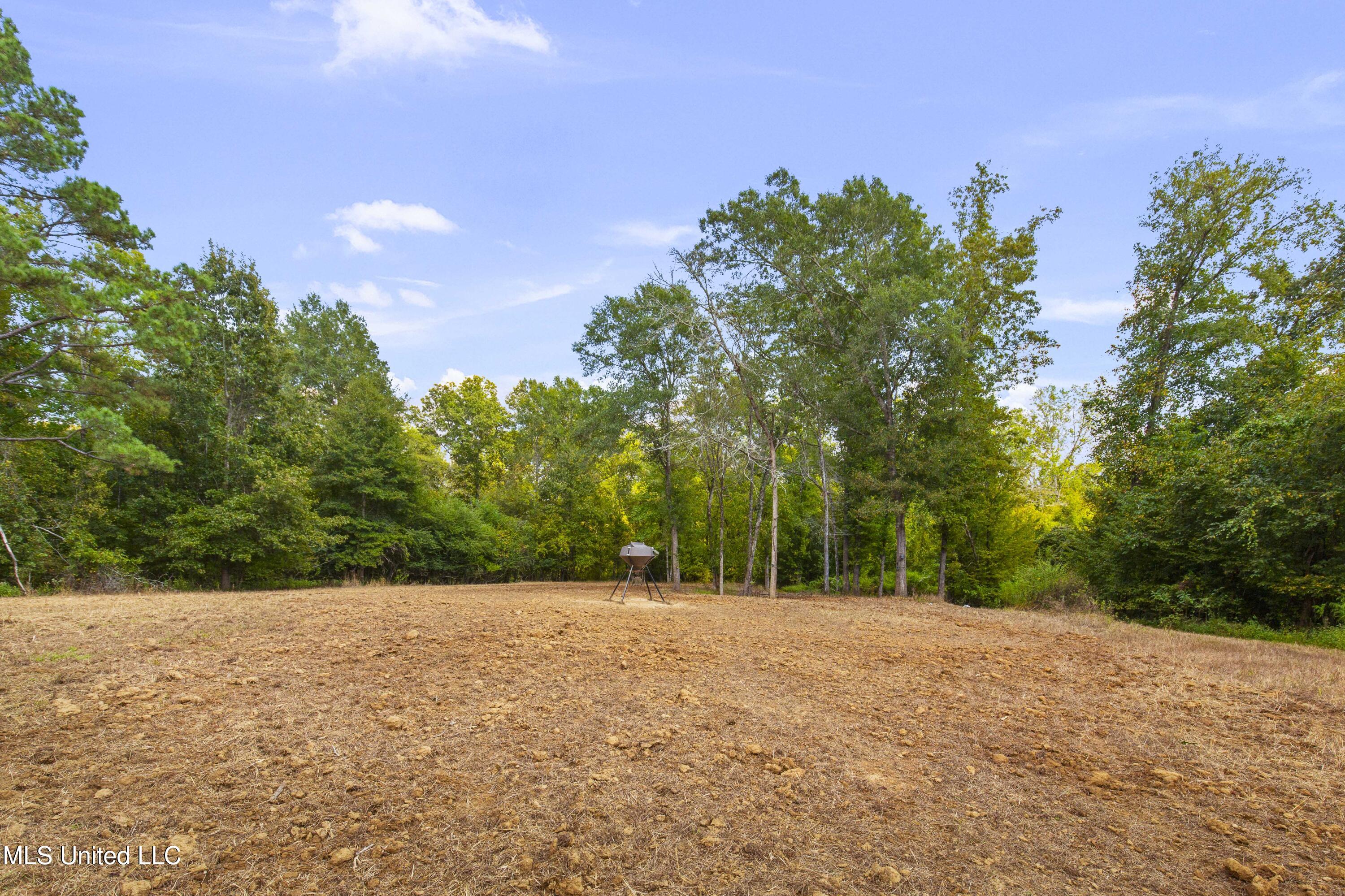 2233 Holloman Road Property Photo 45