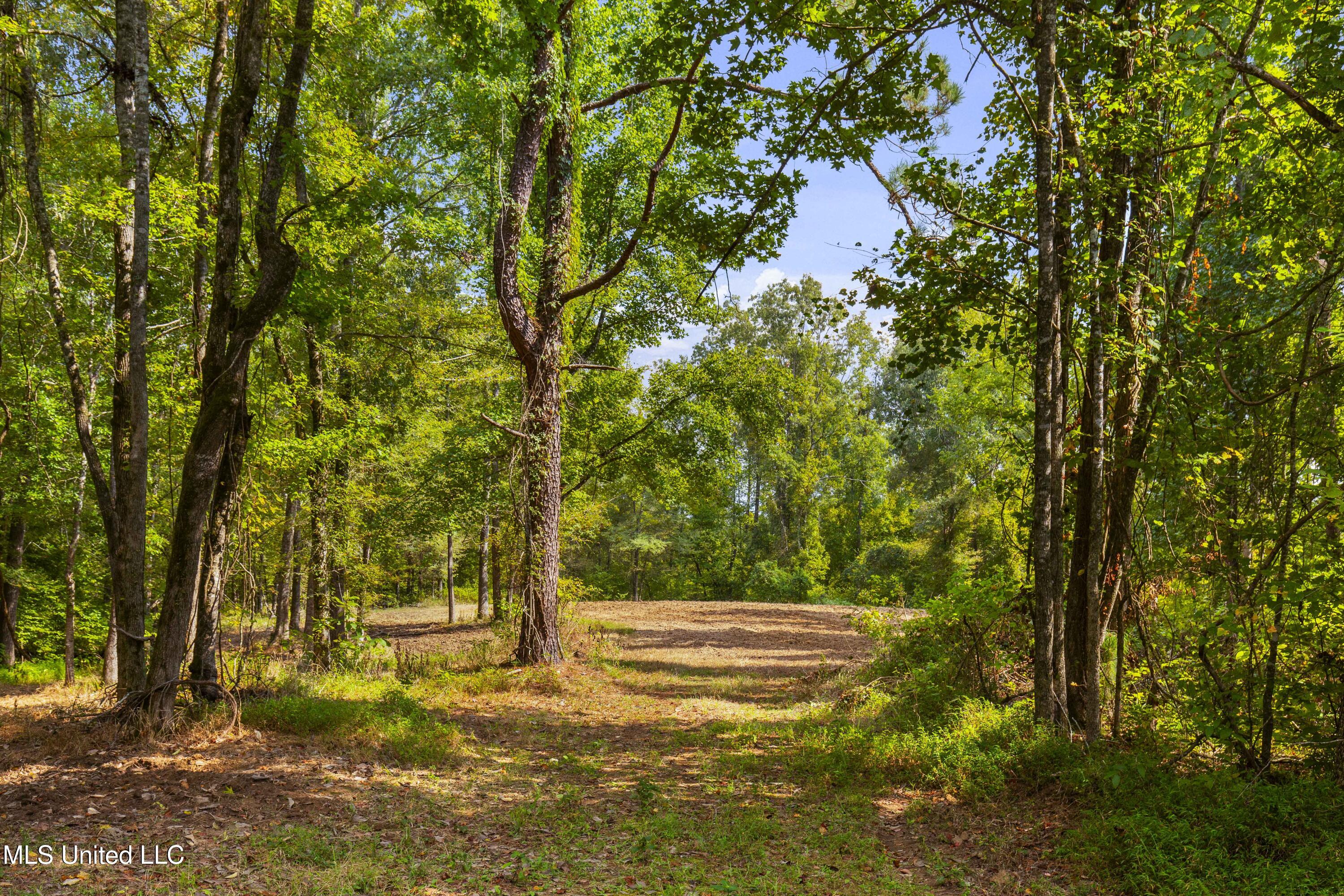 2233 Holloman Road Property Photo 46