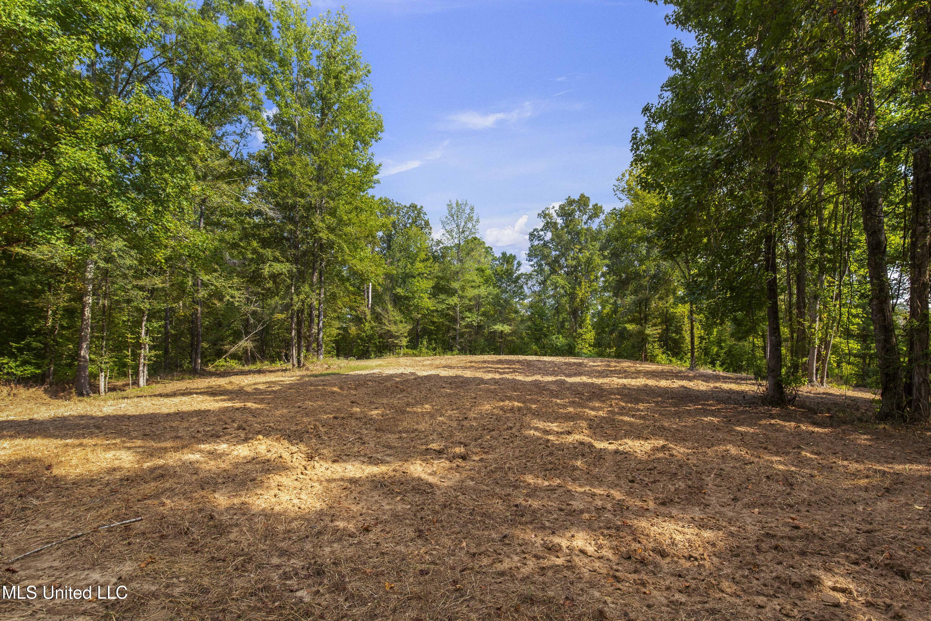 2233 Holloman Road Property Photo 48