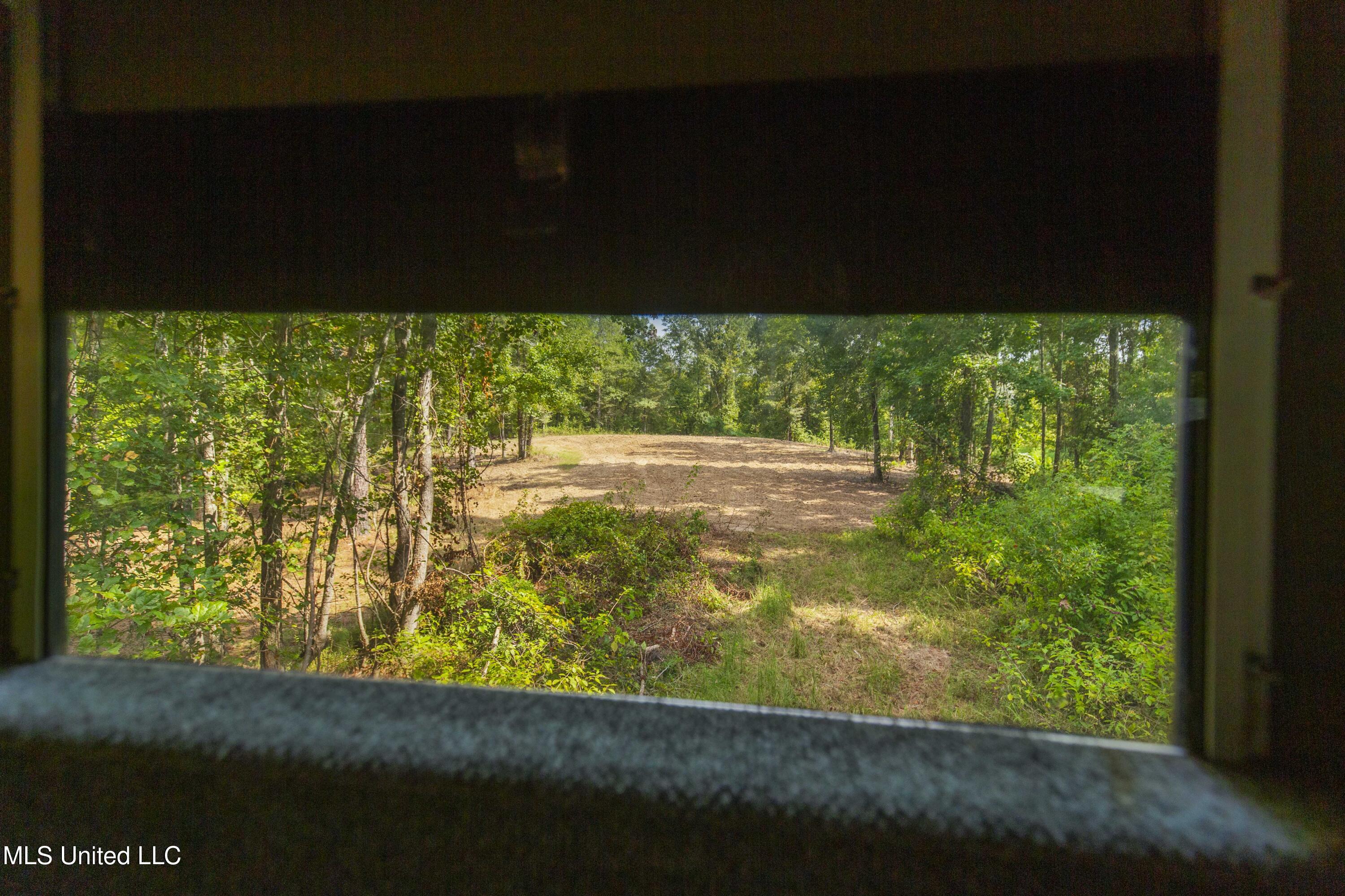 2233 Holloman Road Property Photo 49