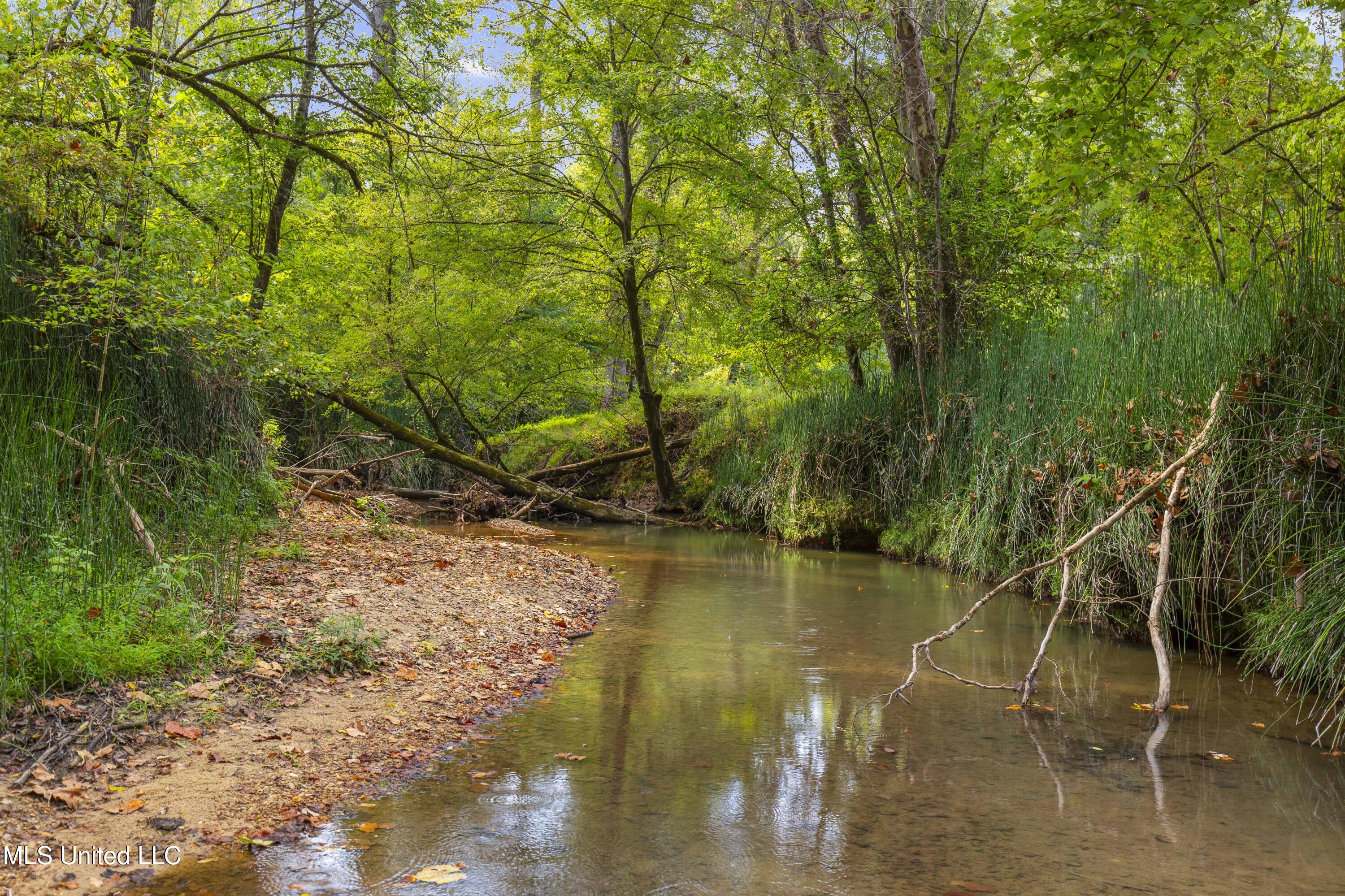 2233 Holloman Road Property Photo 51
