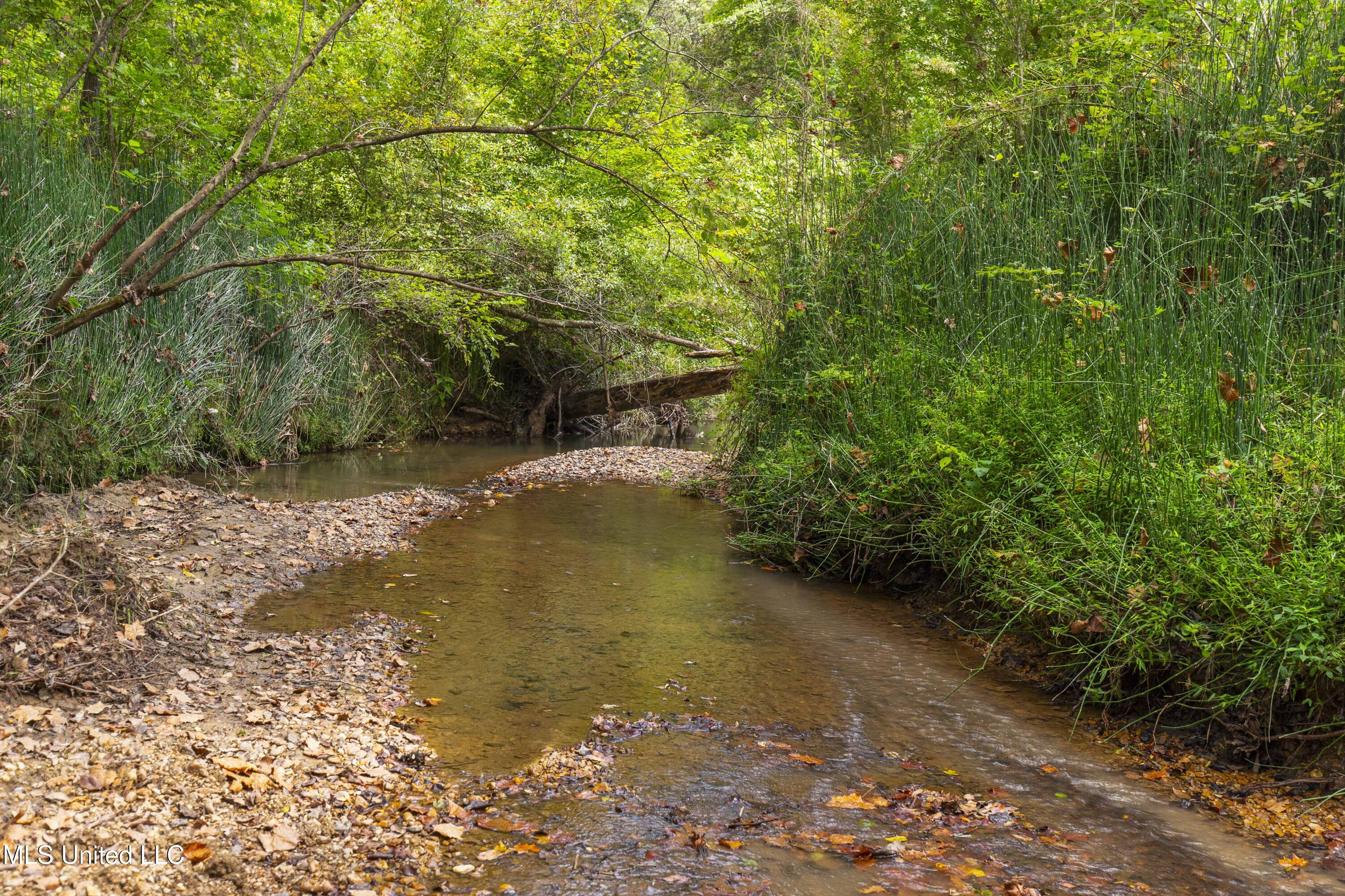 2233 Holloman Road Property Photo 52