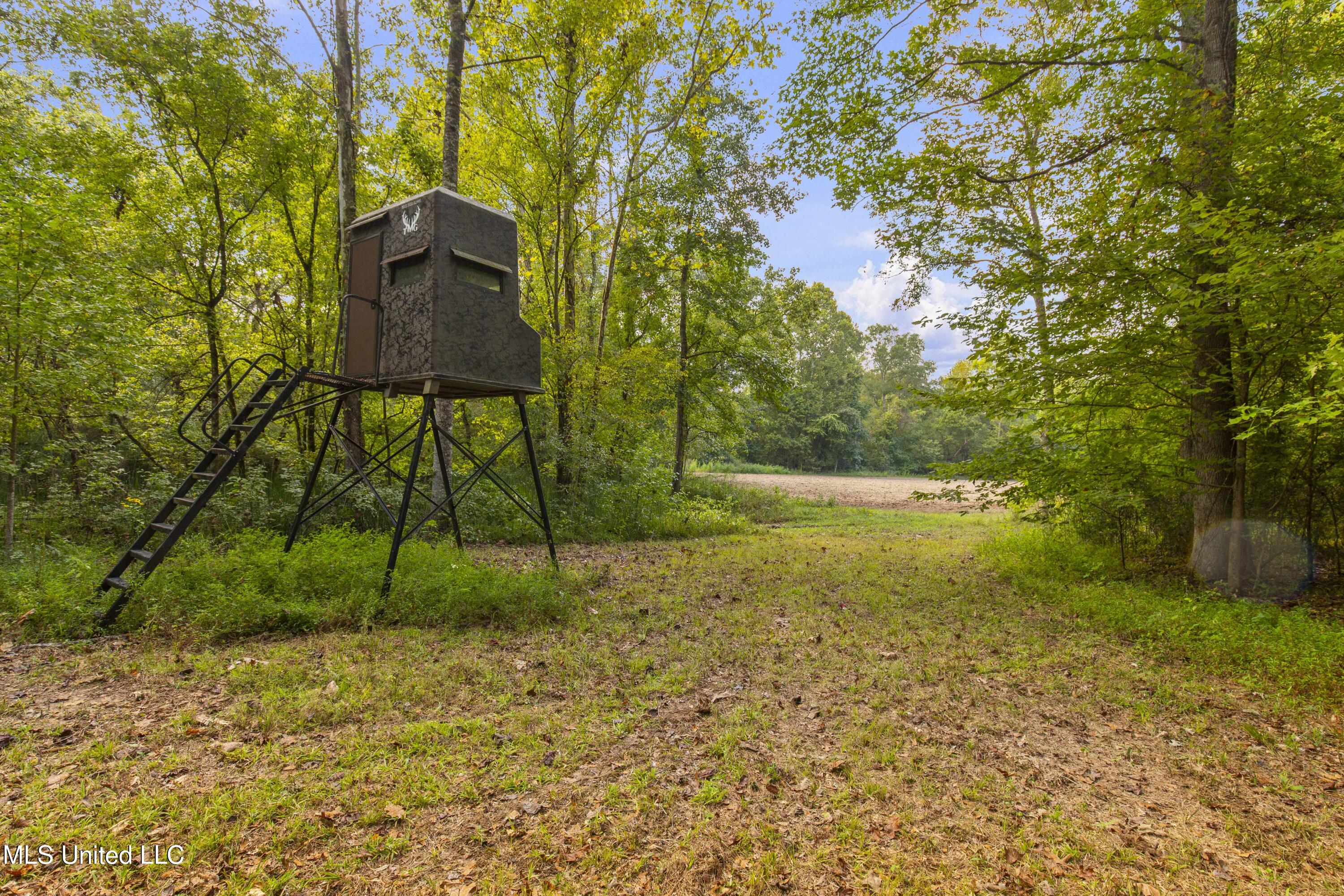 2233 Holloman Road Property Photo 53