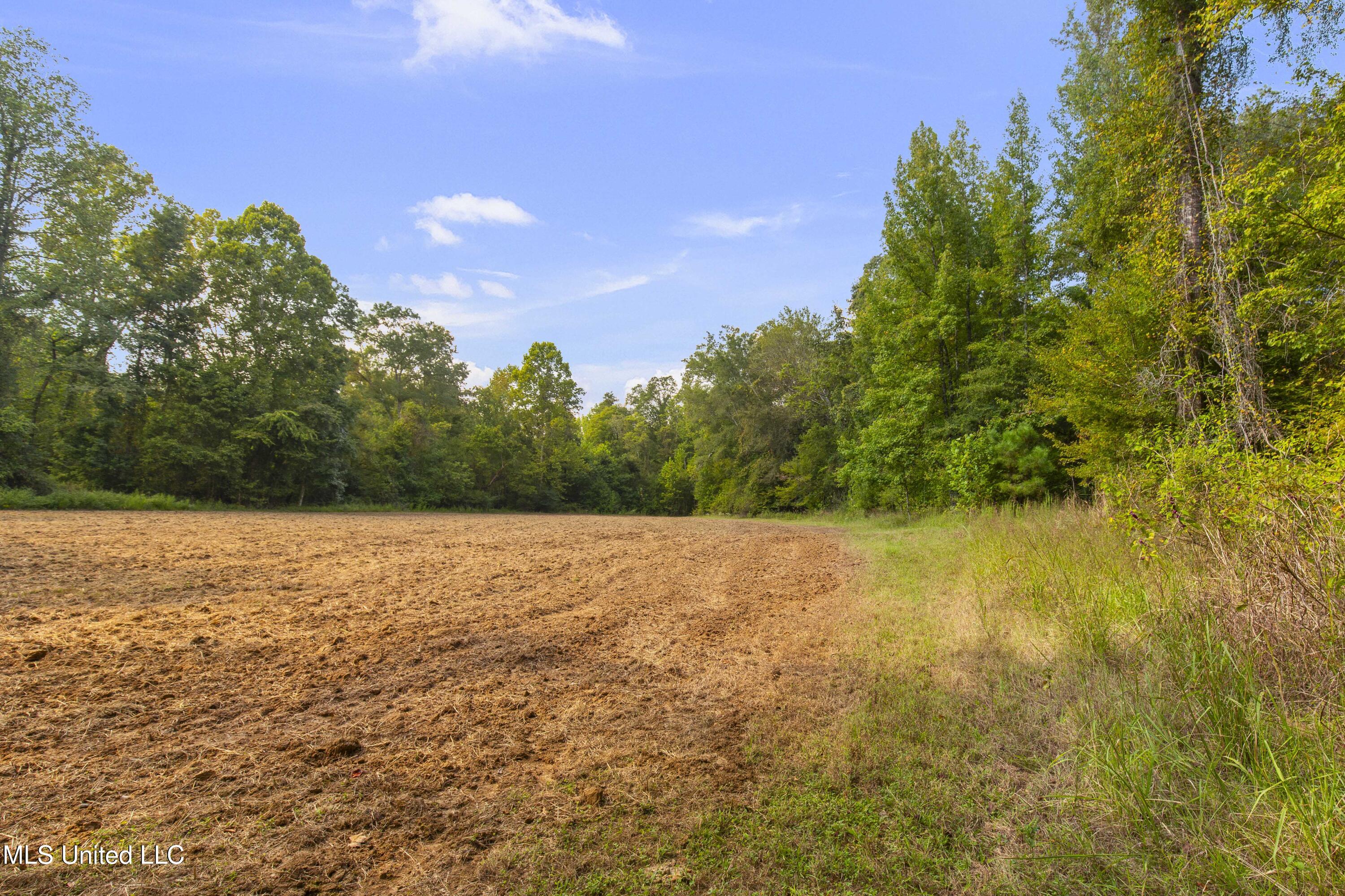 2233 Holloman Road Property Photo 54