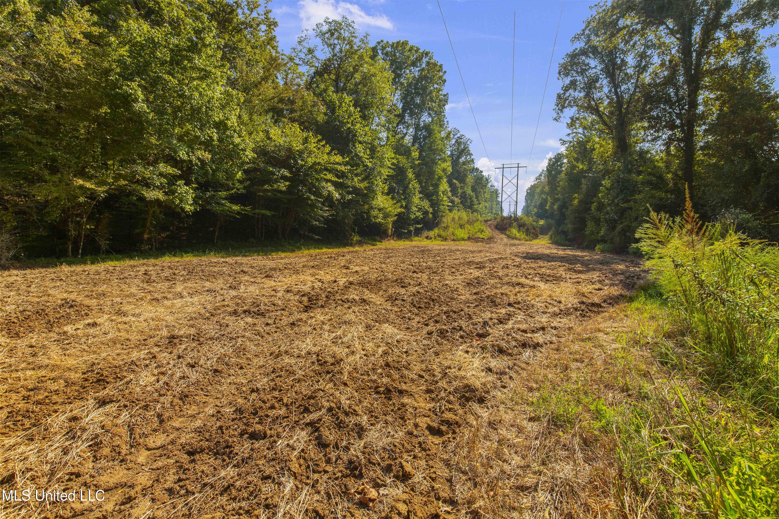 2233 Holloman Road Property Photo 55