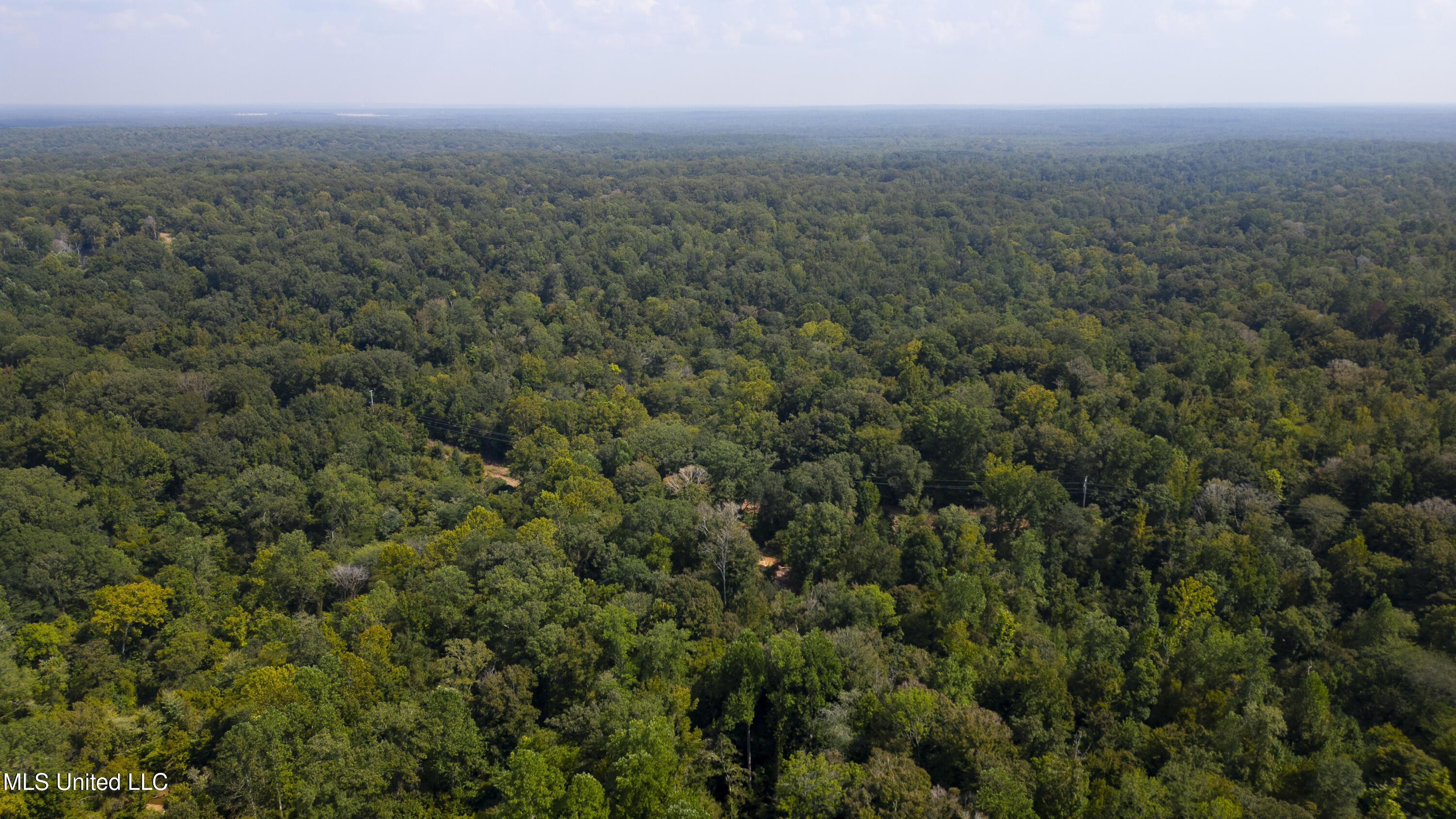 2233 Holloman Road Property Photo 63