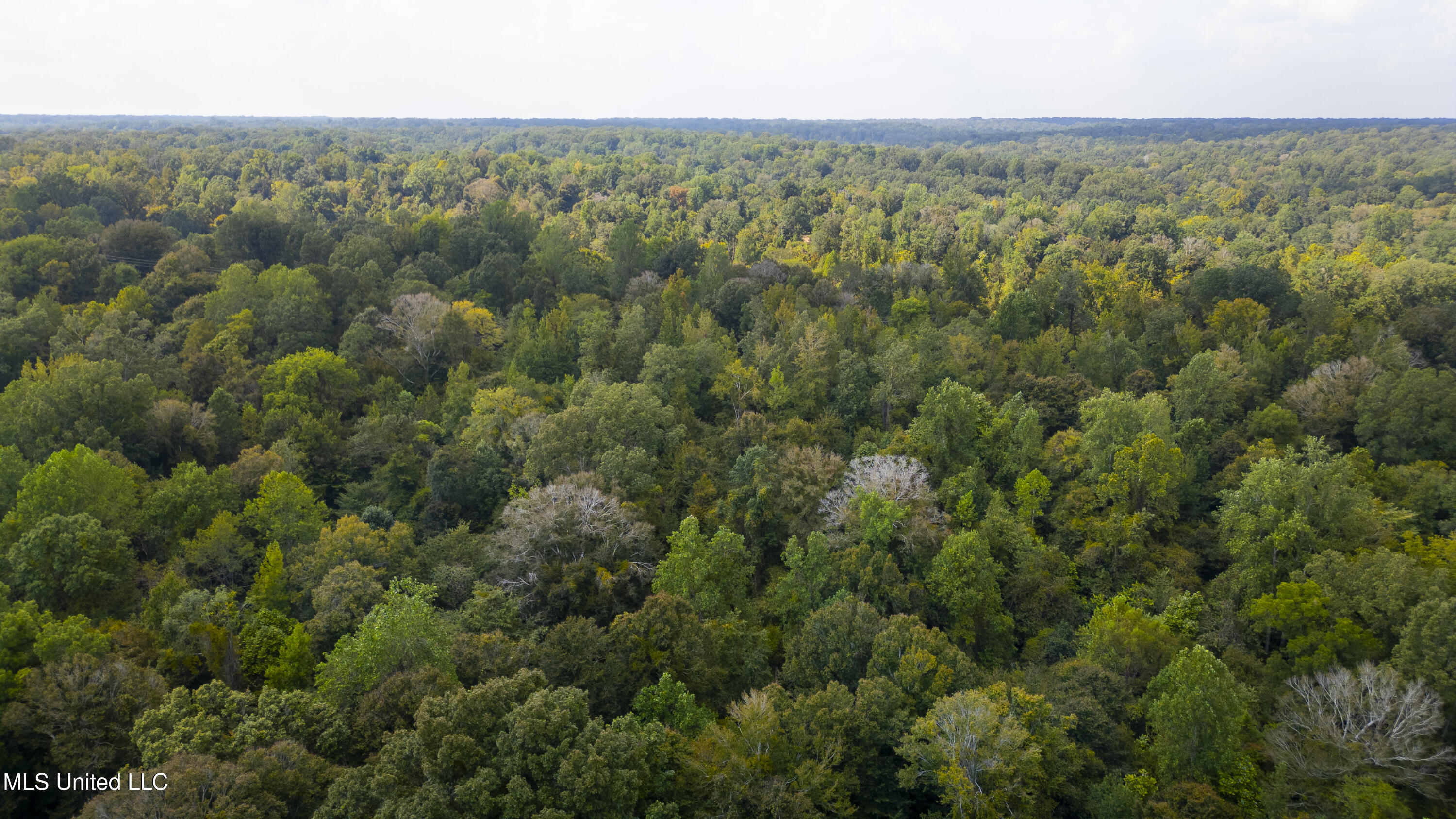 2233 Holloman Road Property Photo 65