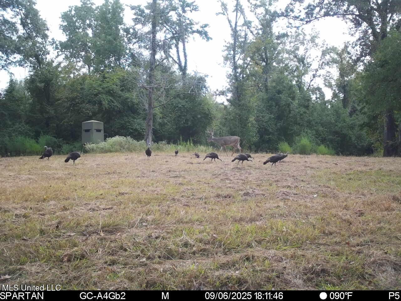 2233 Holloman Road Property Photo 71