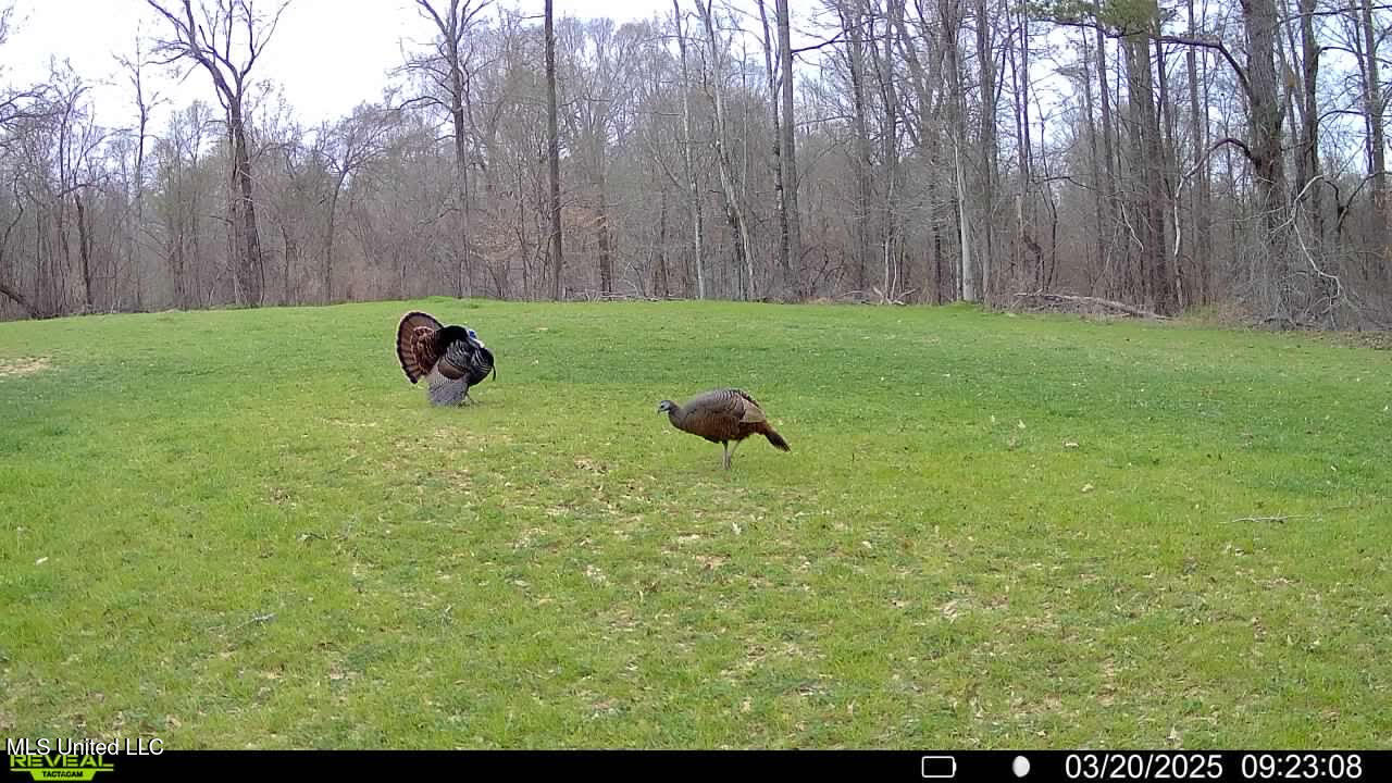 2233 Holloman Road Property Photo 72