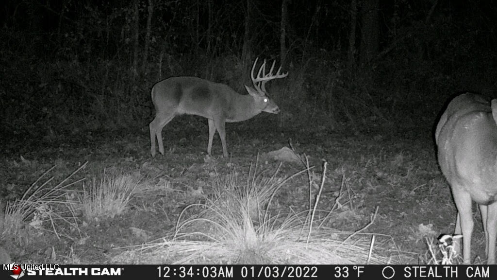 2233 Holloman Road Property Photo 73