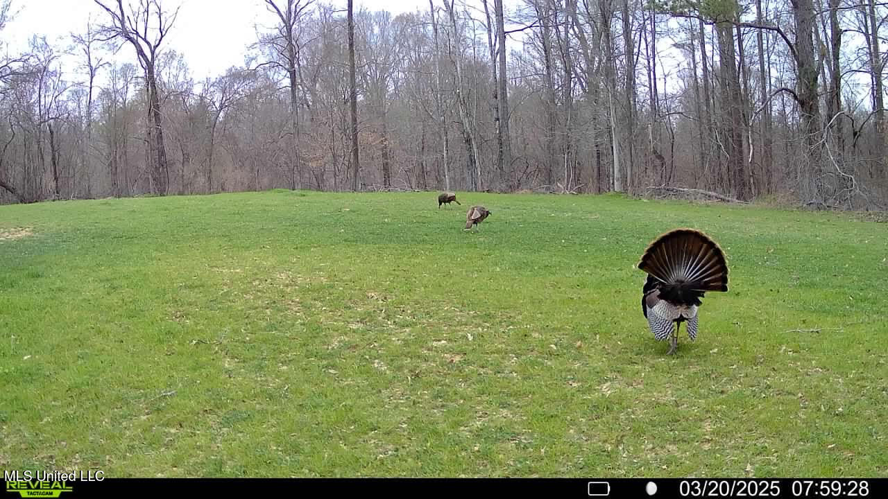 2233 Holloman Road Property Photo 74