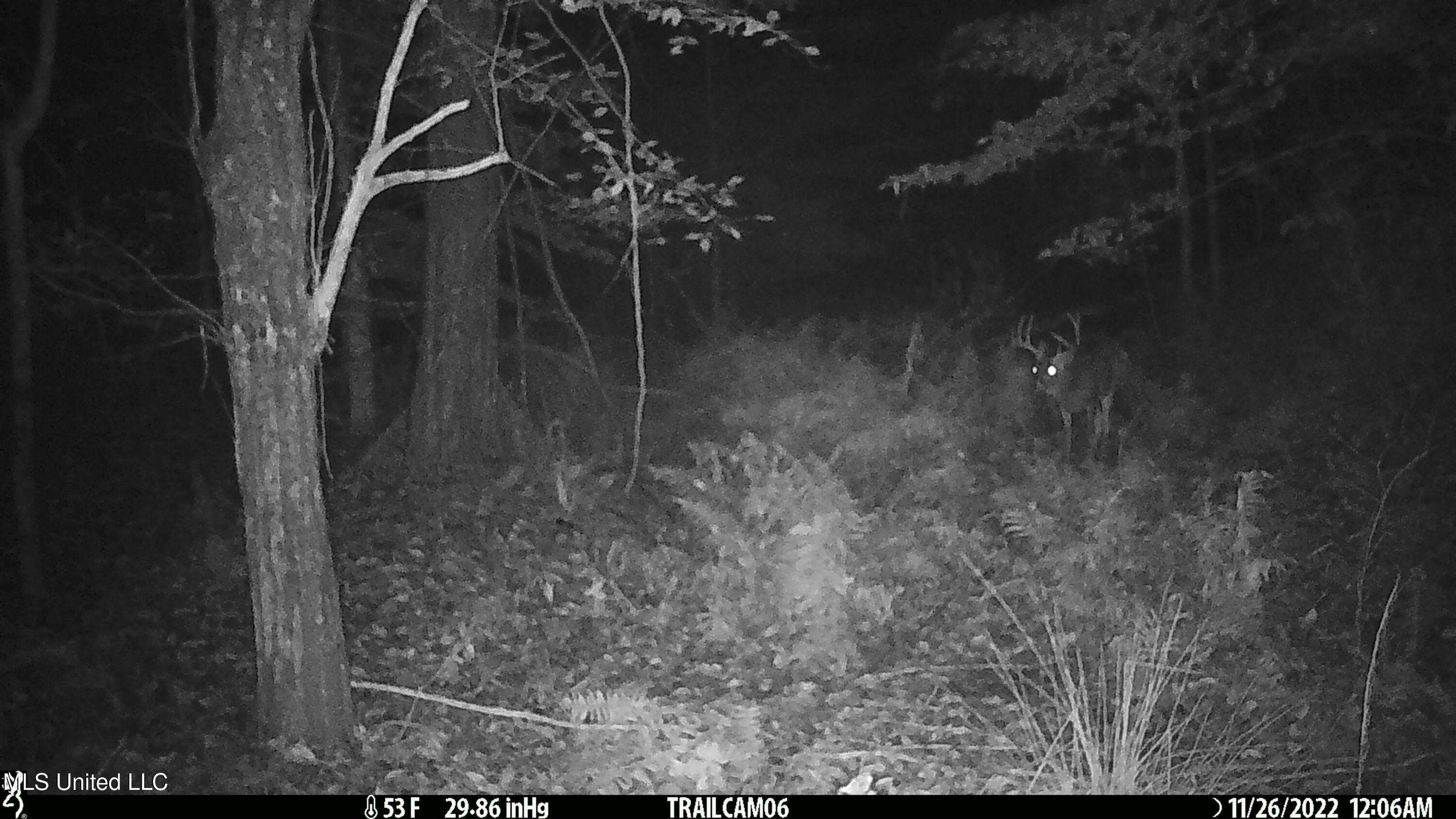 2233 Holloman Road Property Photo 75