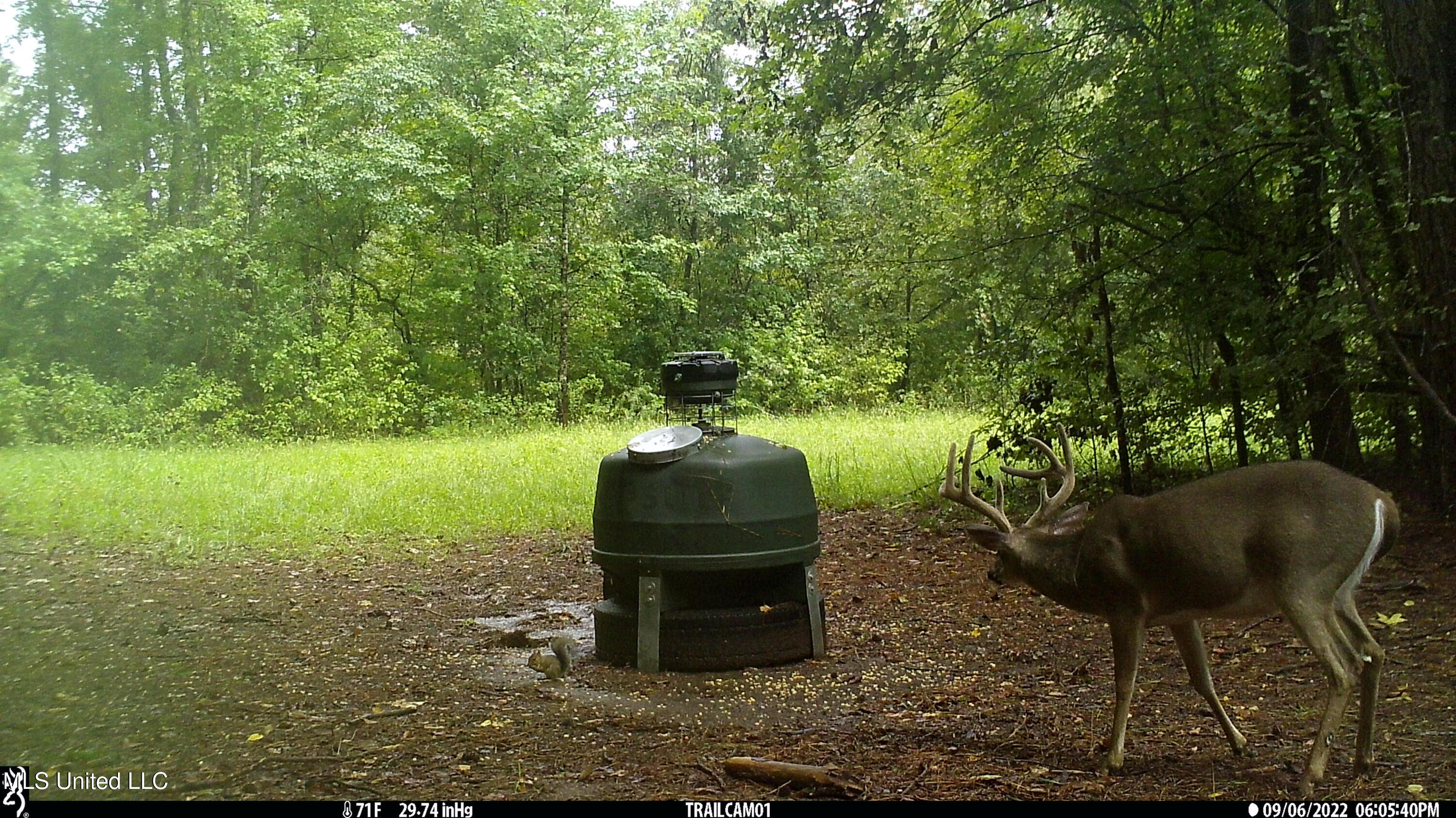 2233 Holloman Road Property Photo 76