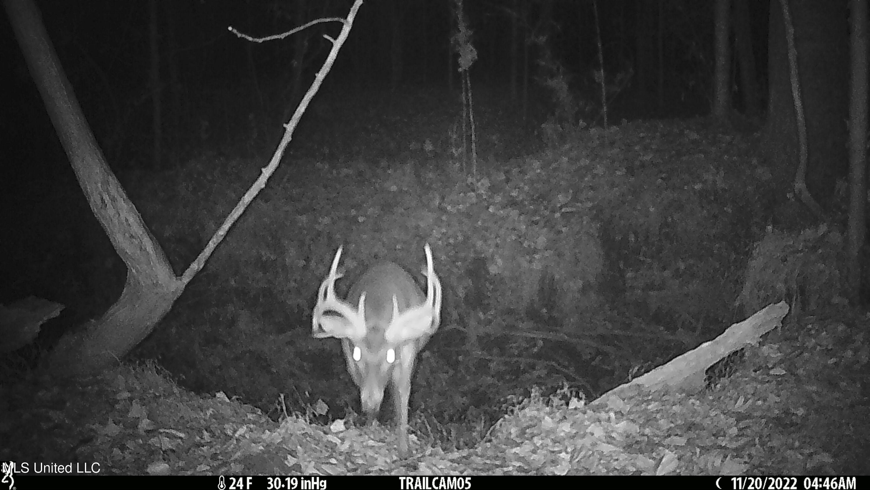 2233 Holloman Road Property Photo 77