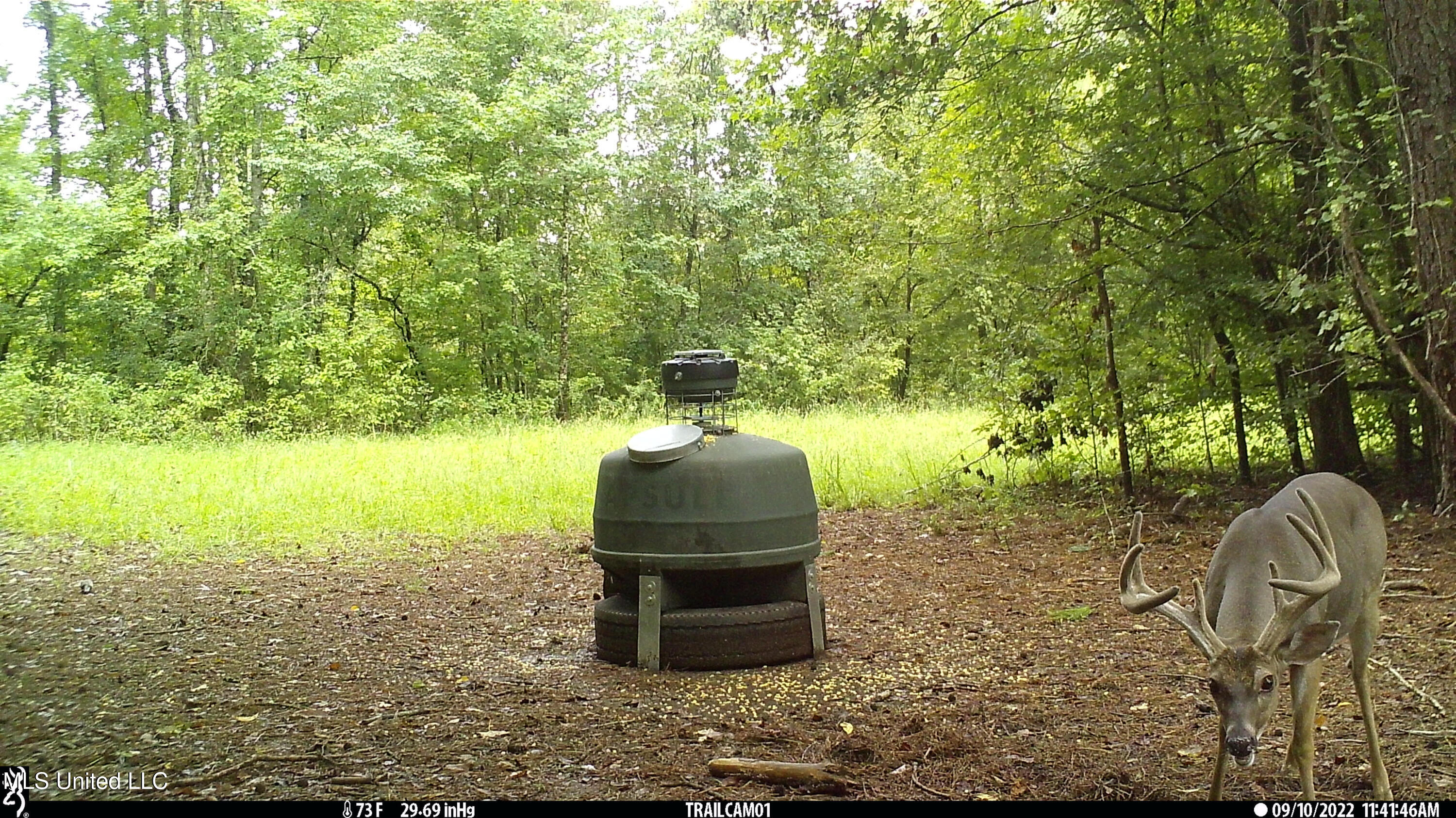 2233 Holloman Road Property Photo 78