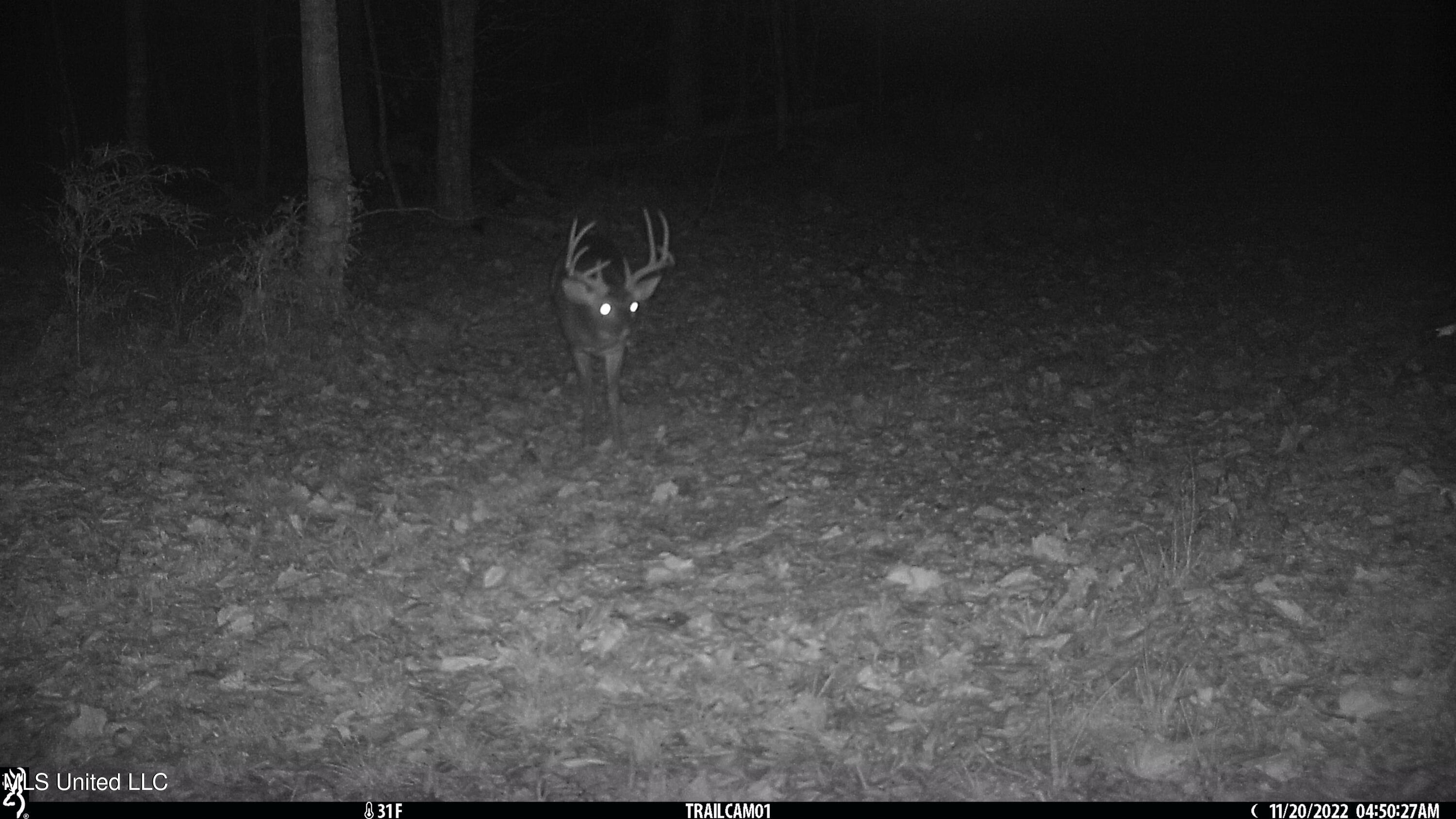 2233 Holloman Road Property Photo 79