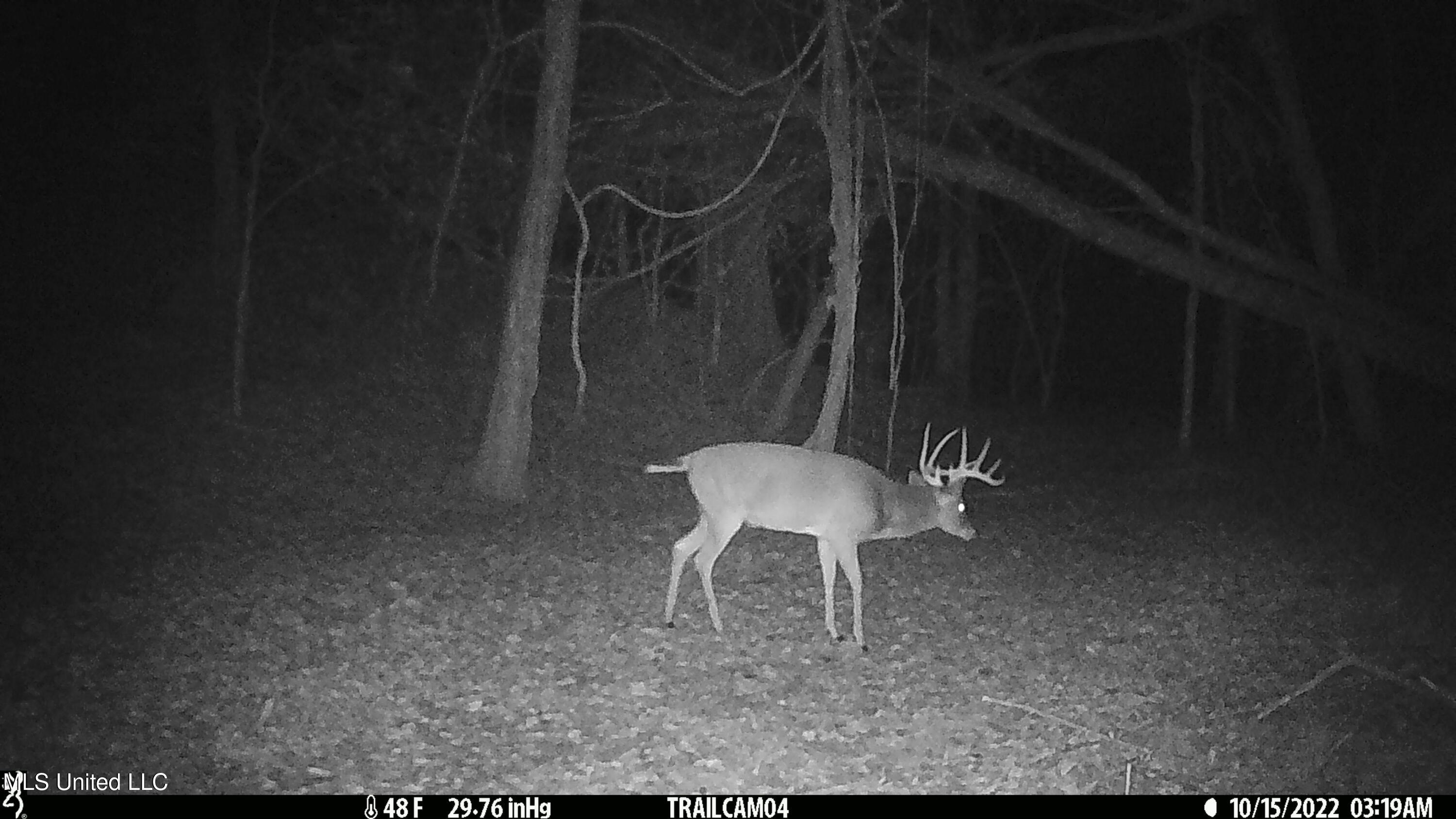 2233 Holloman Road Property Photo 80