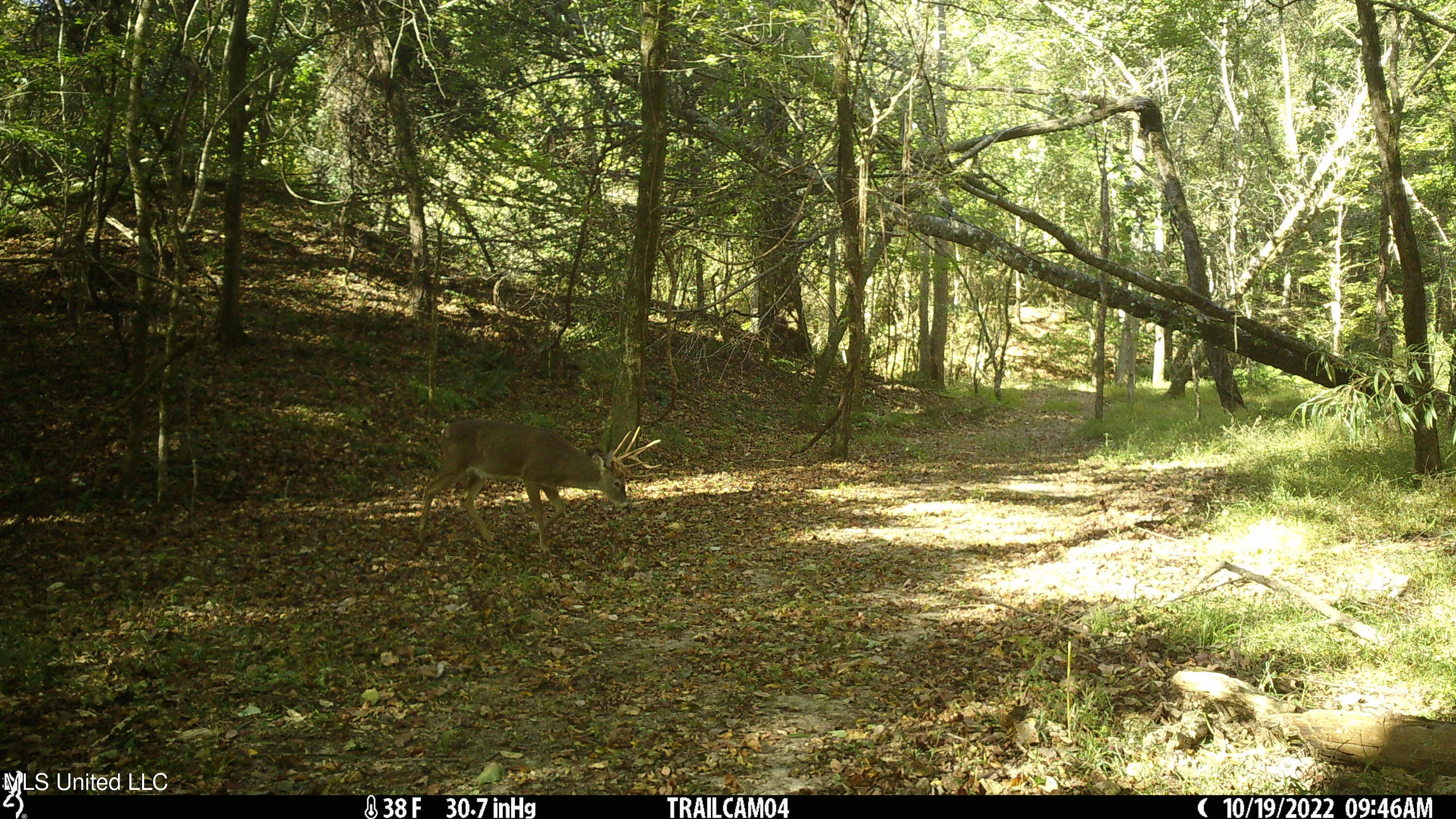 2233 Holloman Road Property Photo 81