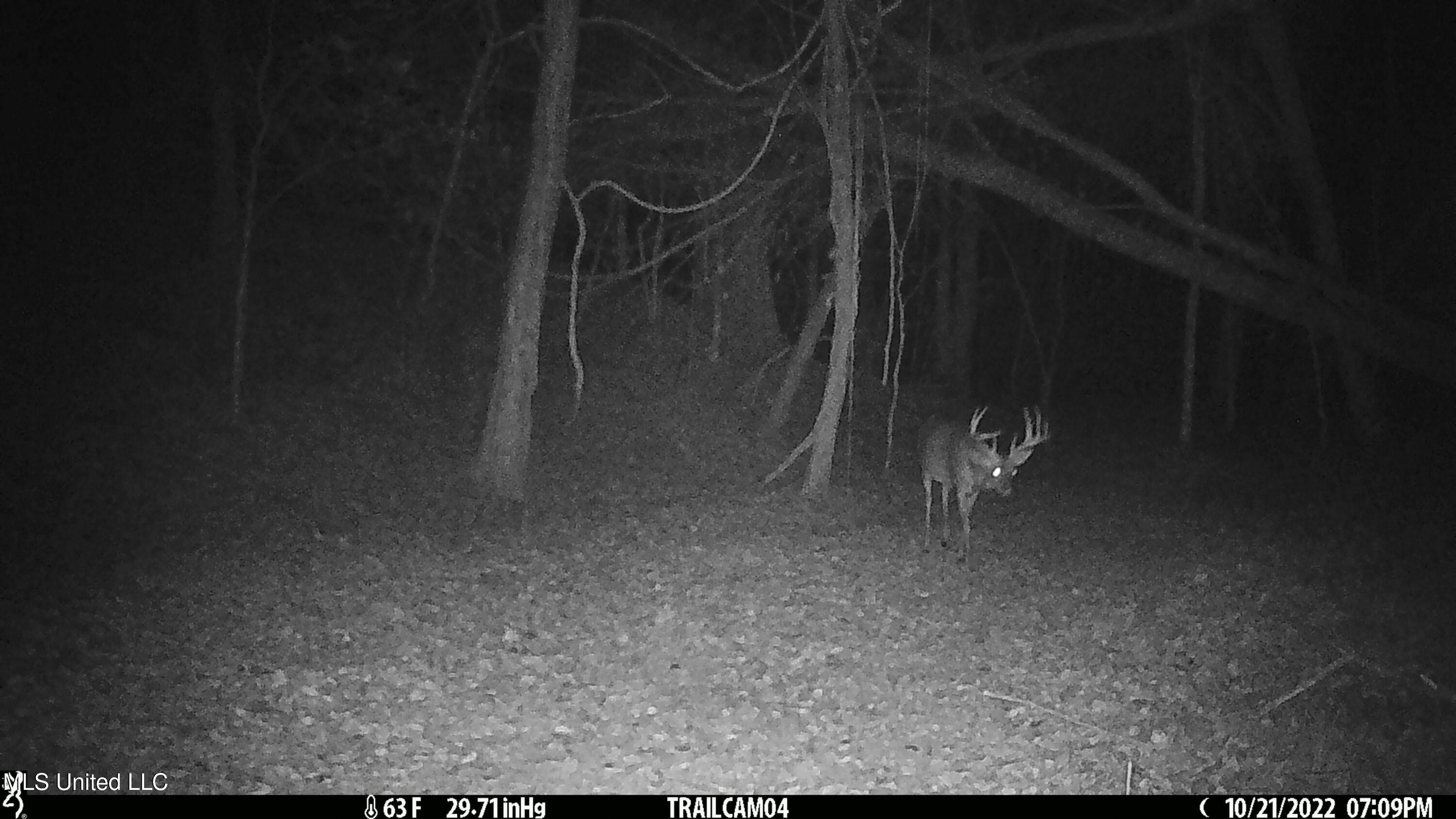 2233 Holloman Road Property Photo 82