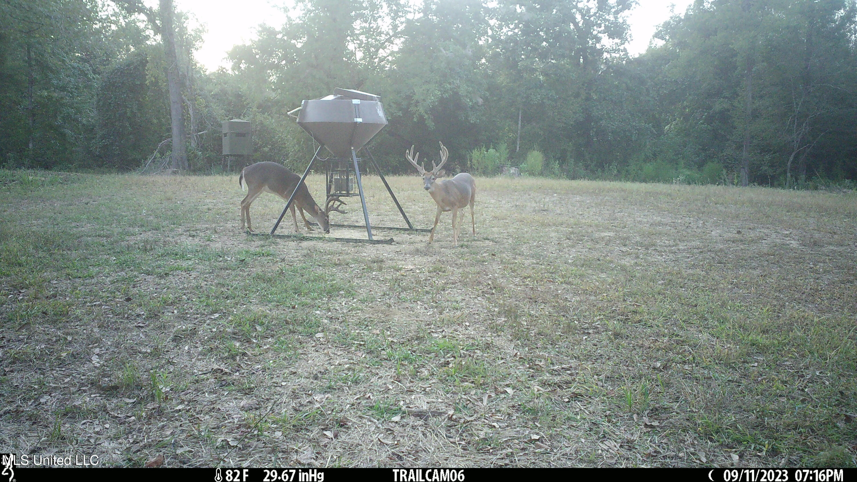 2233 Holloman Road Property Photo 83