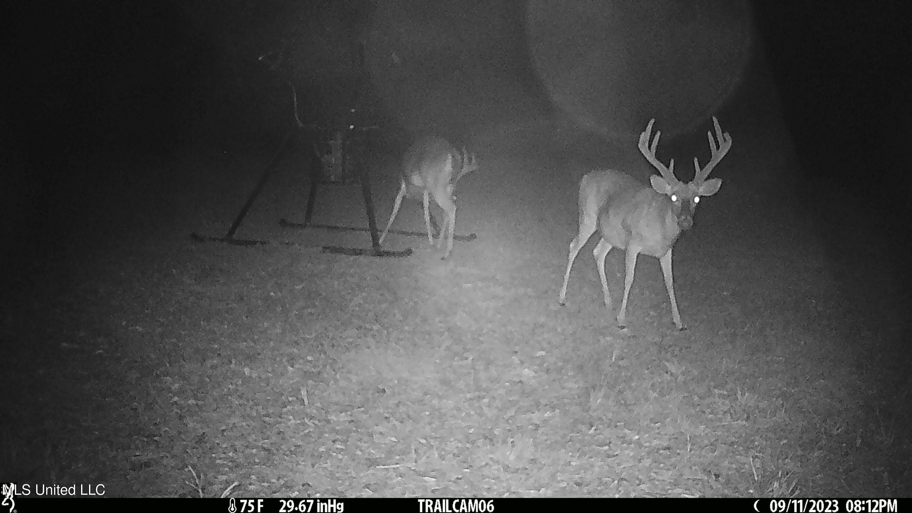 2233 Holloman Road Property Photo 84