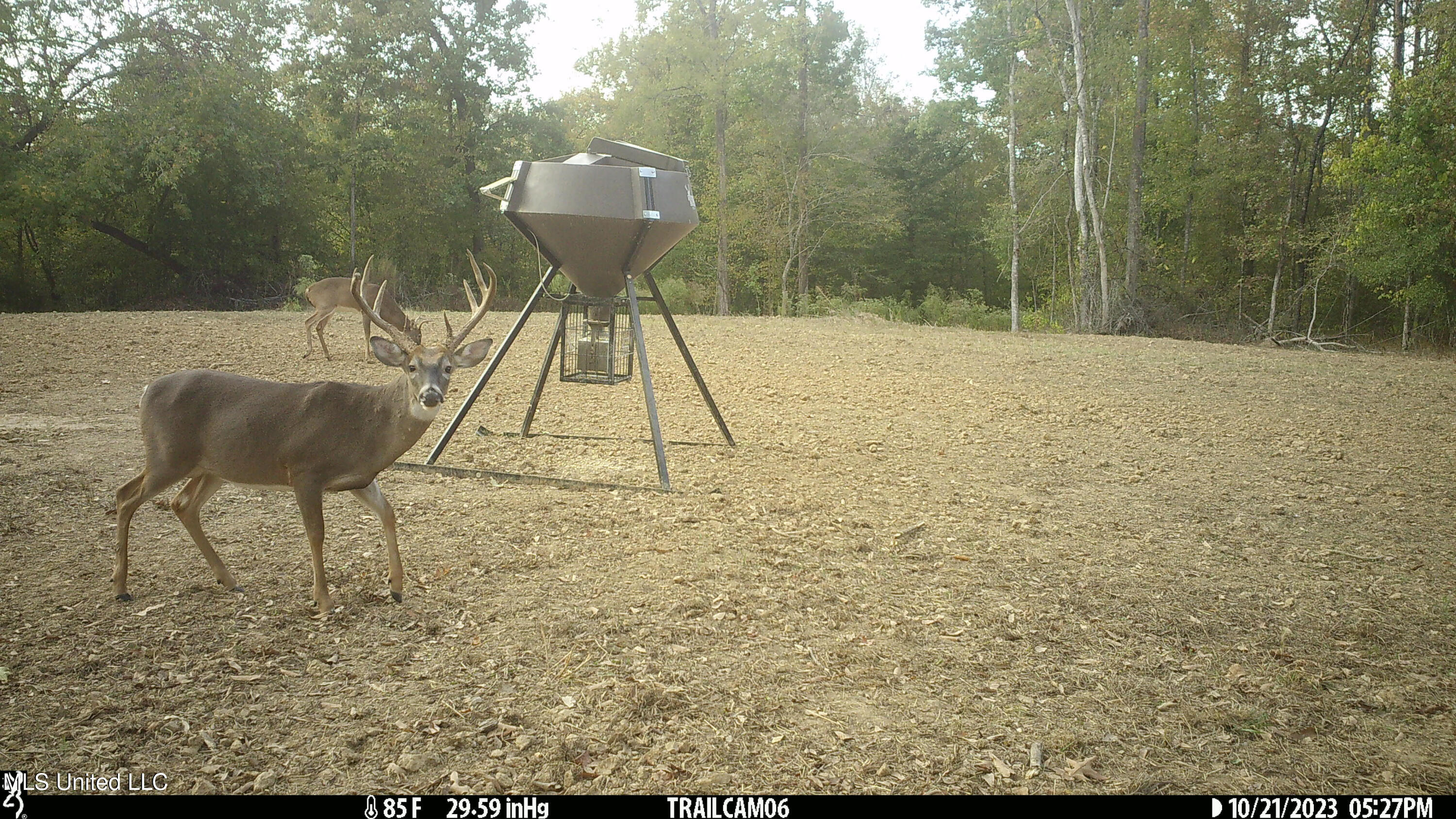 2233 Holloman Road Property Photo 85