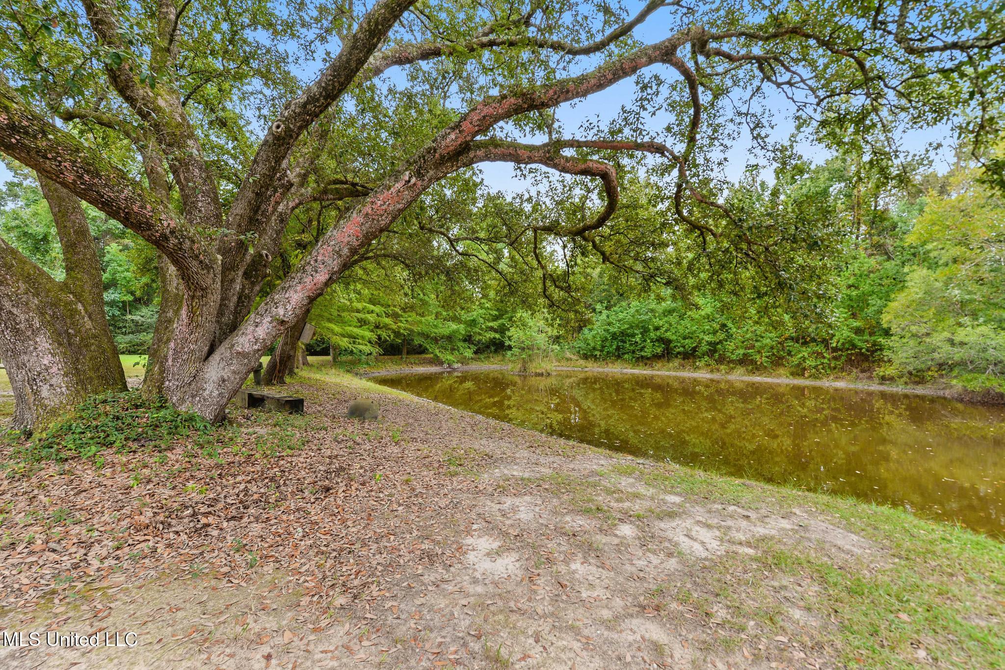 26240 Eddy Road Property Photo 47
