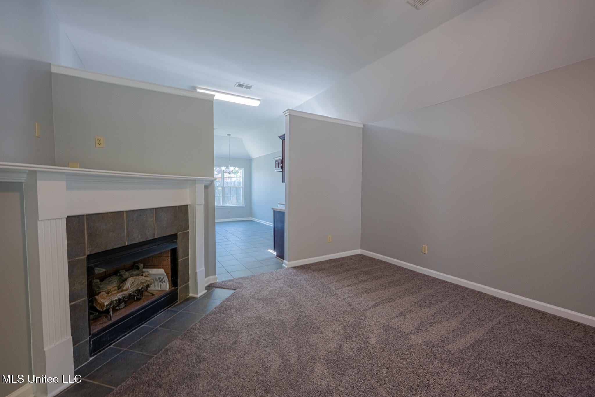 8382 Regal Bend Drive Property Photo 7