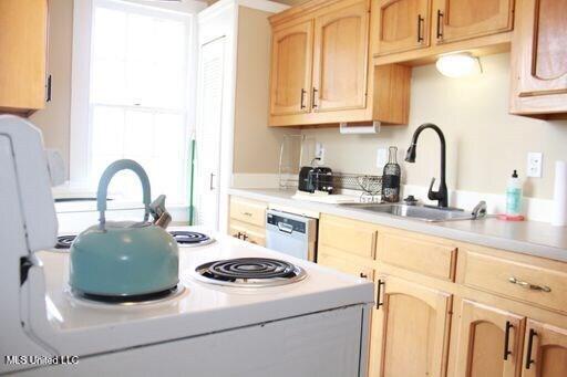 1116 Main Street Property Photo 5