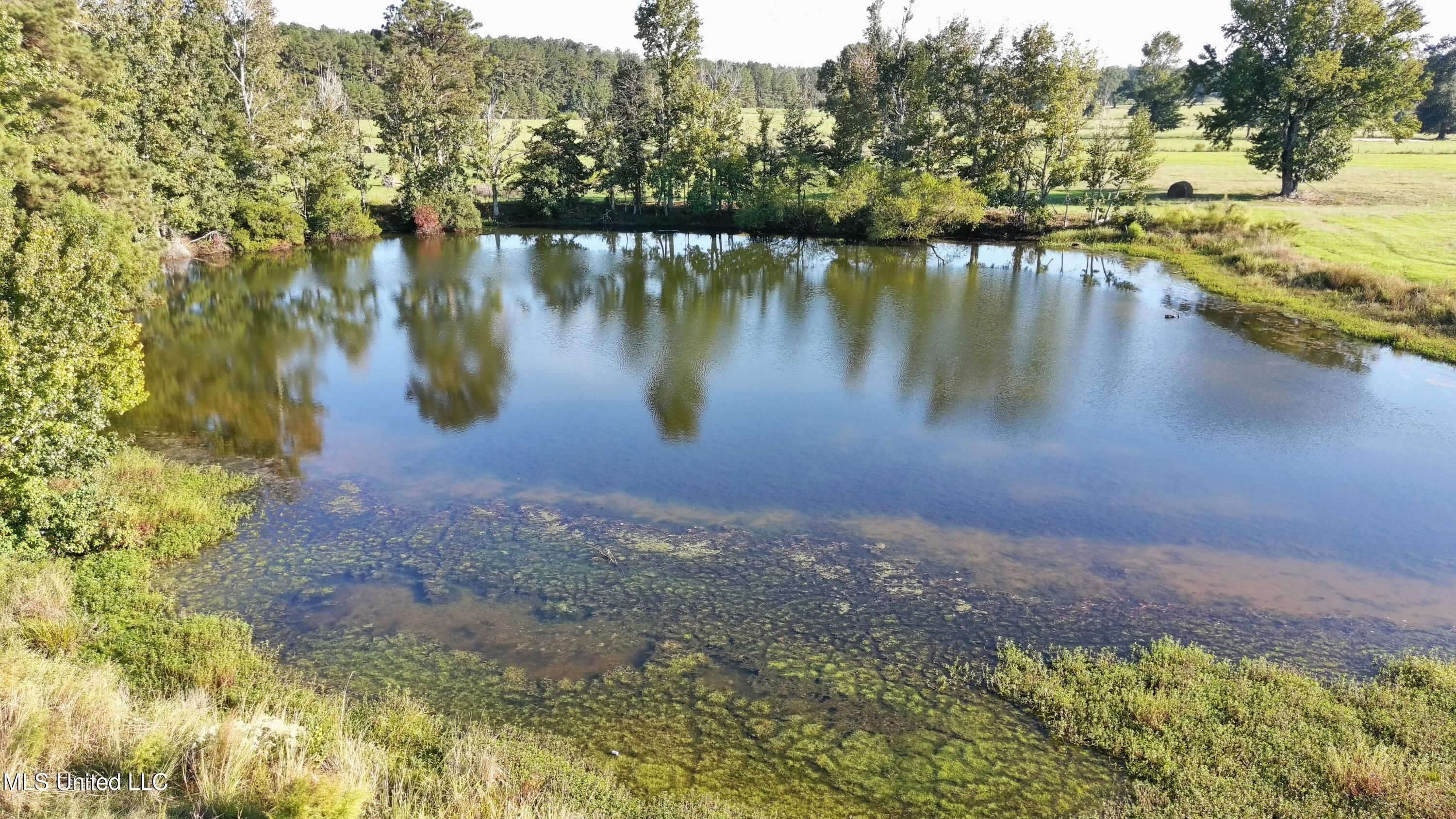 Sw Dalton Lane Property Photo 7