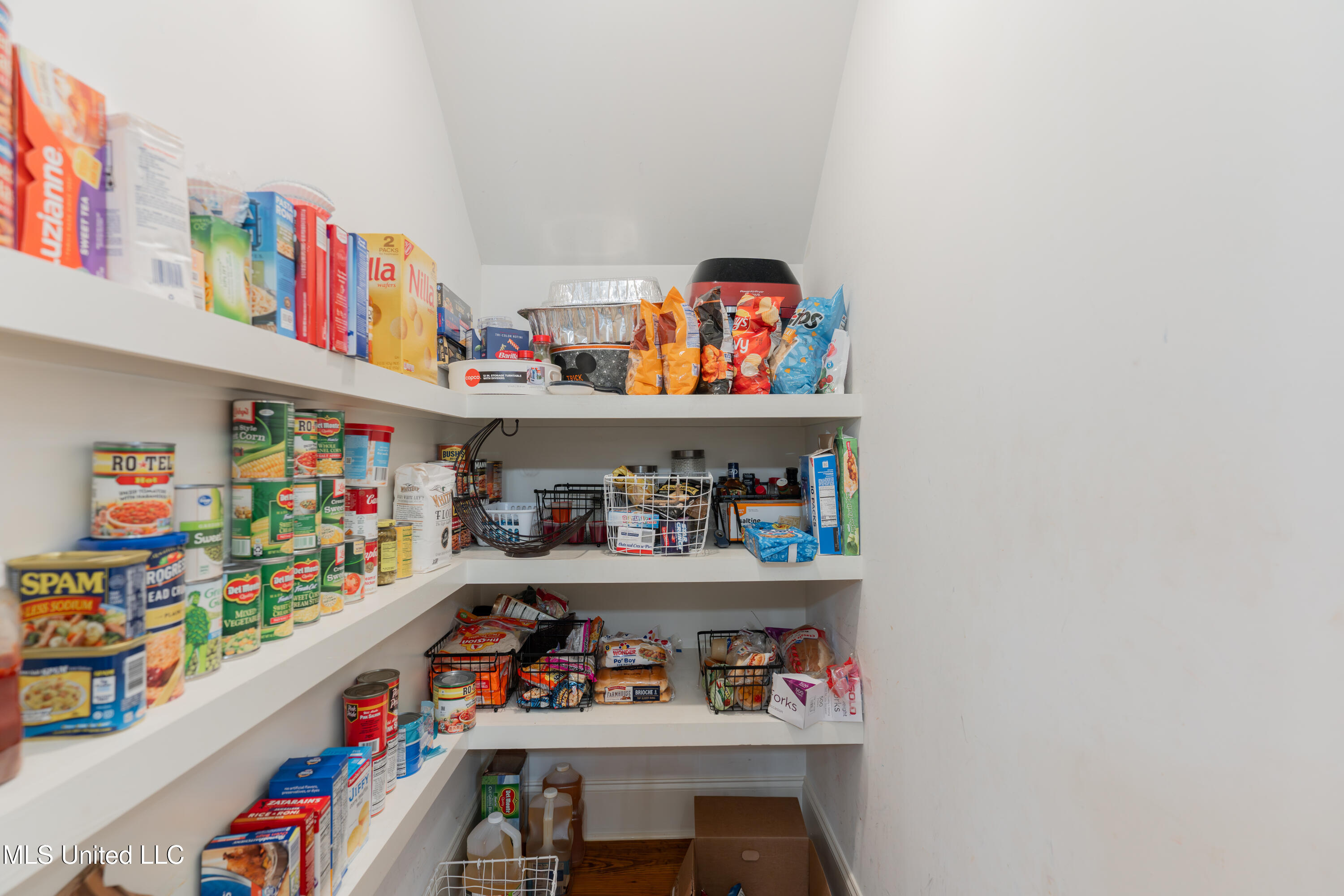 493 Viewpointe Way Property Photo 33