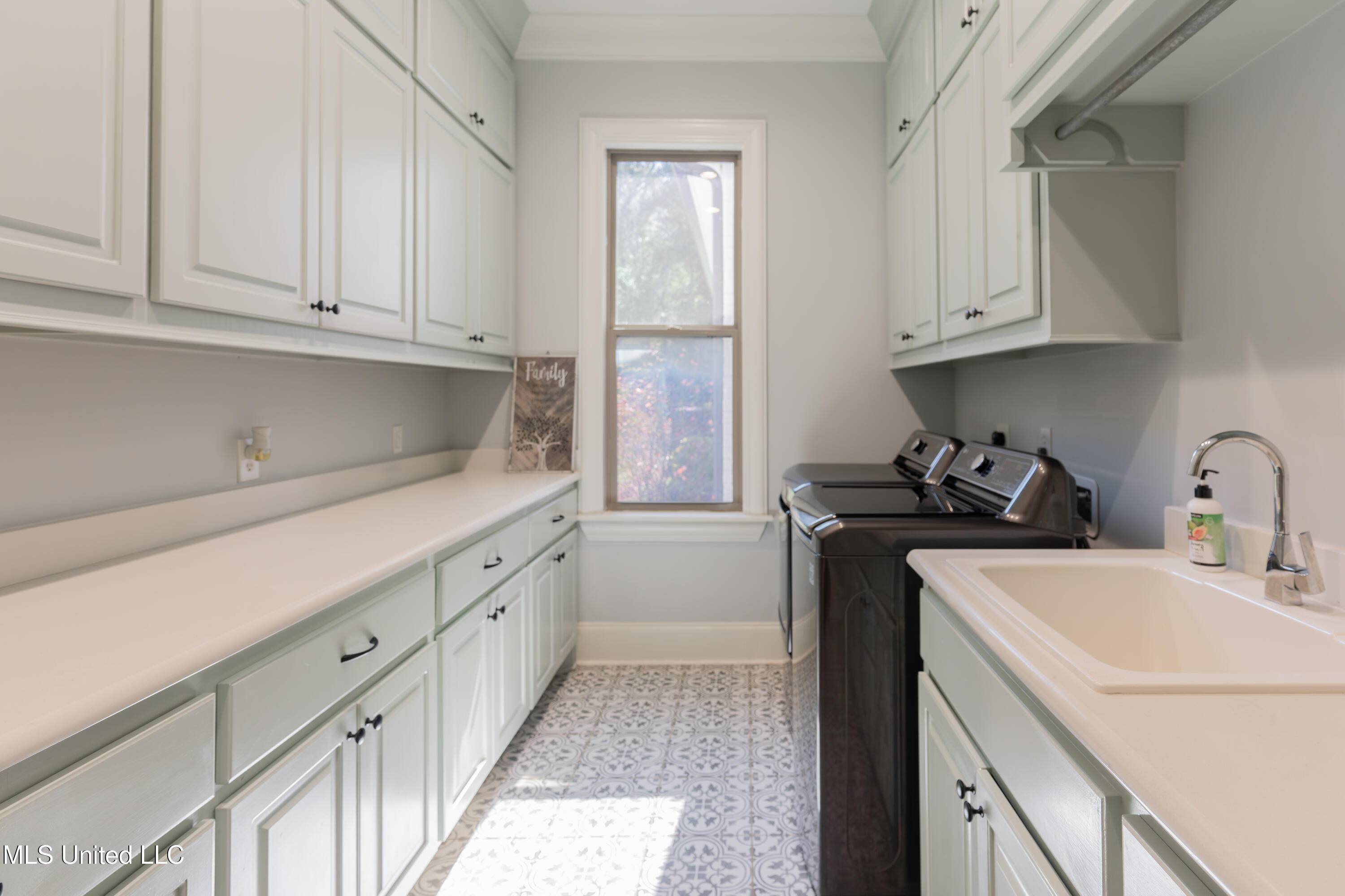 493 Viewpointe Way Property Photo 43