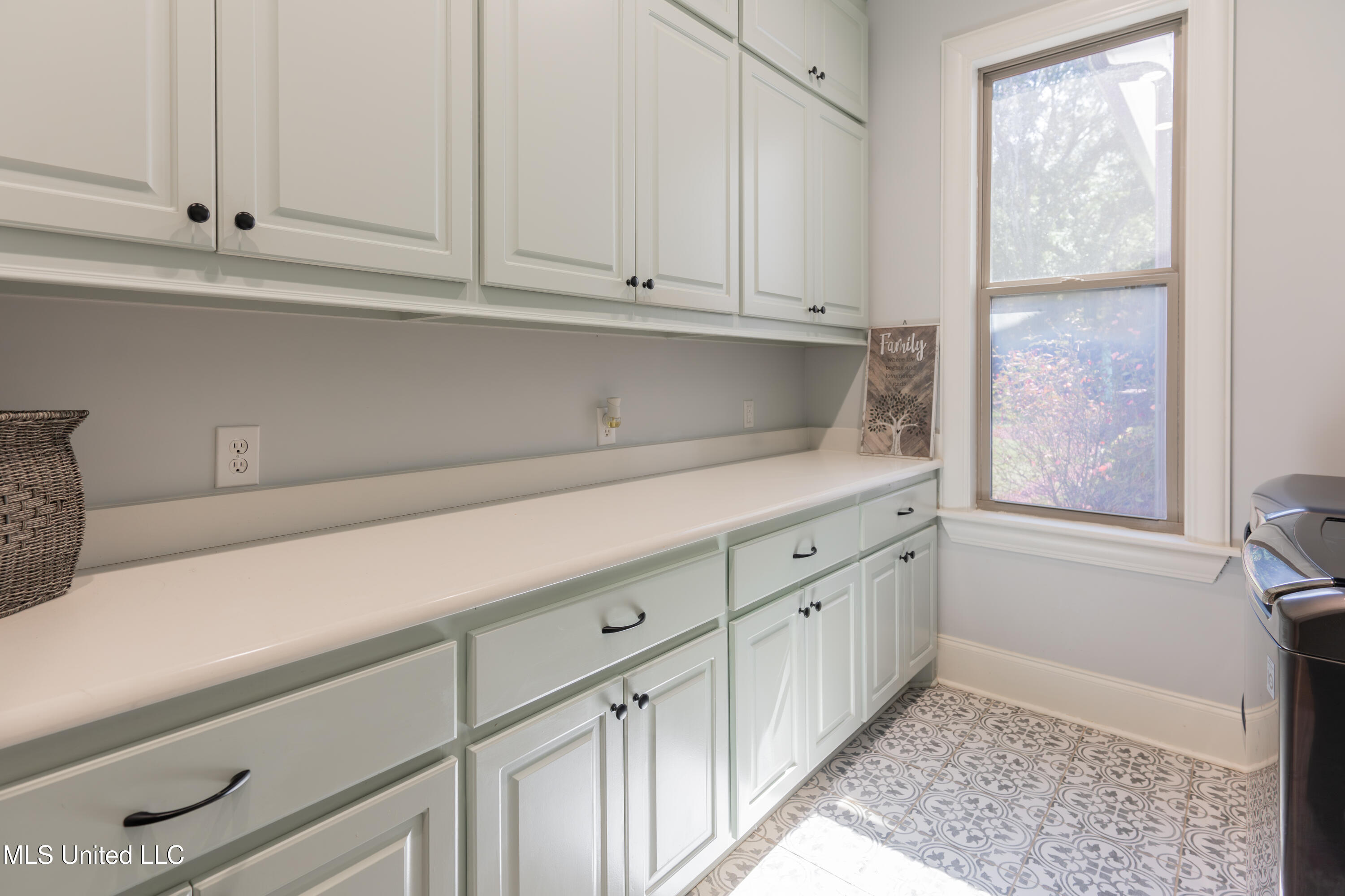 493 Viewpointe Way Property Photo 44