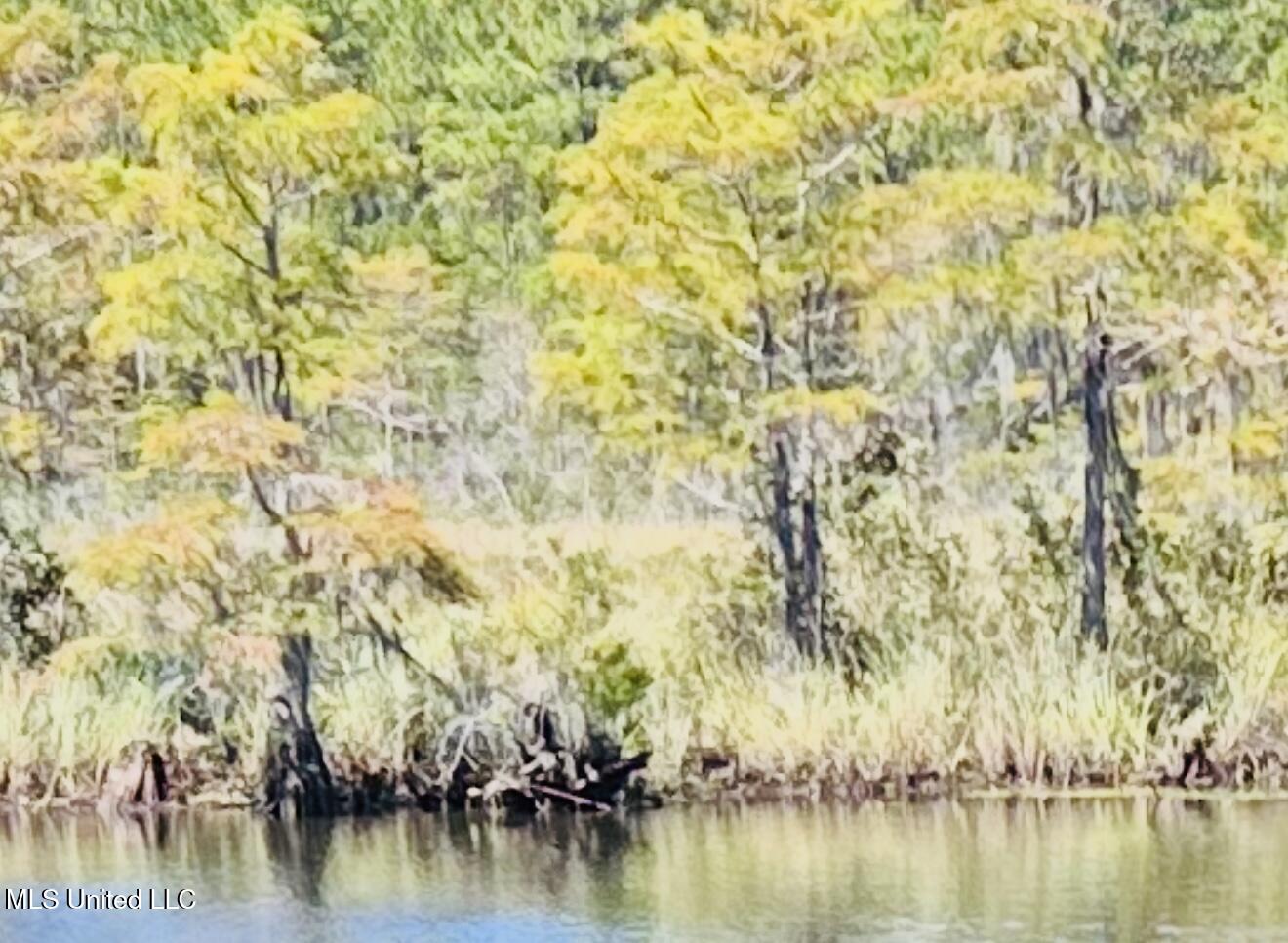 2240 Brookside Street Property Photo 33