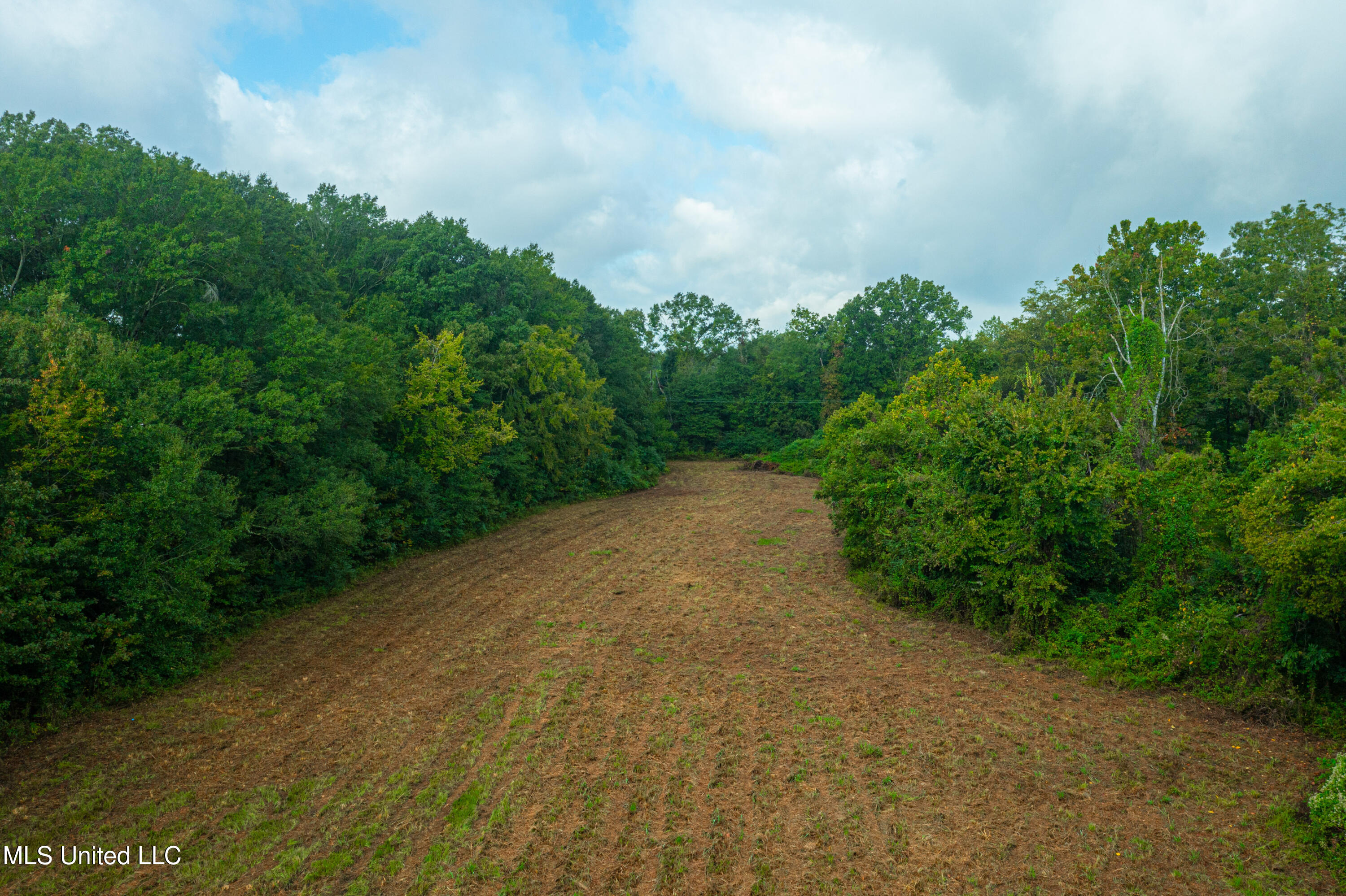 1st Street Property Photo 7