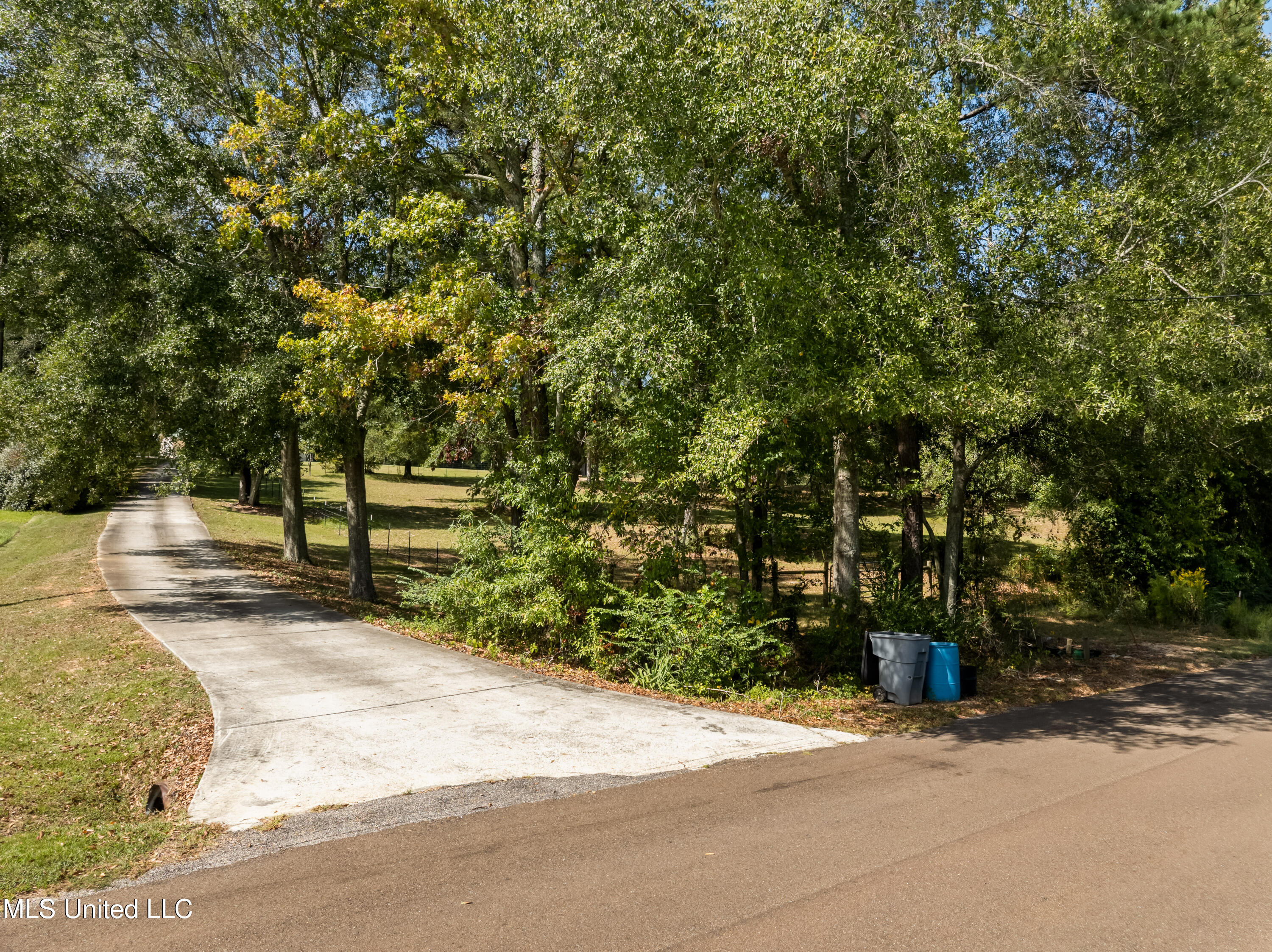 222 Log Cabin Road Property Photo 41