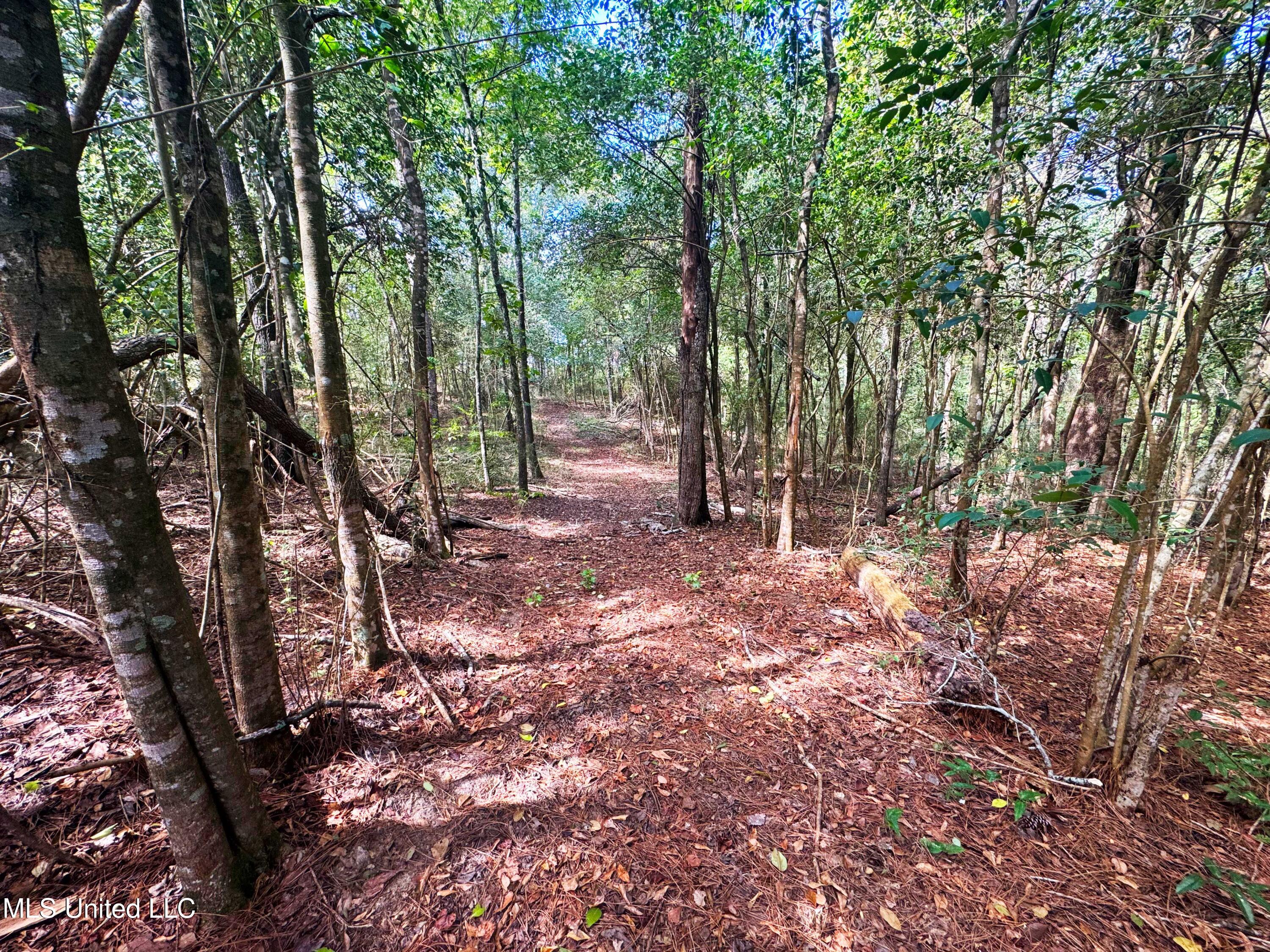 222 Log Cabin Road Property Photo 49