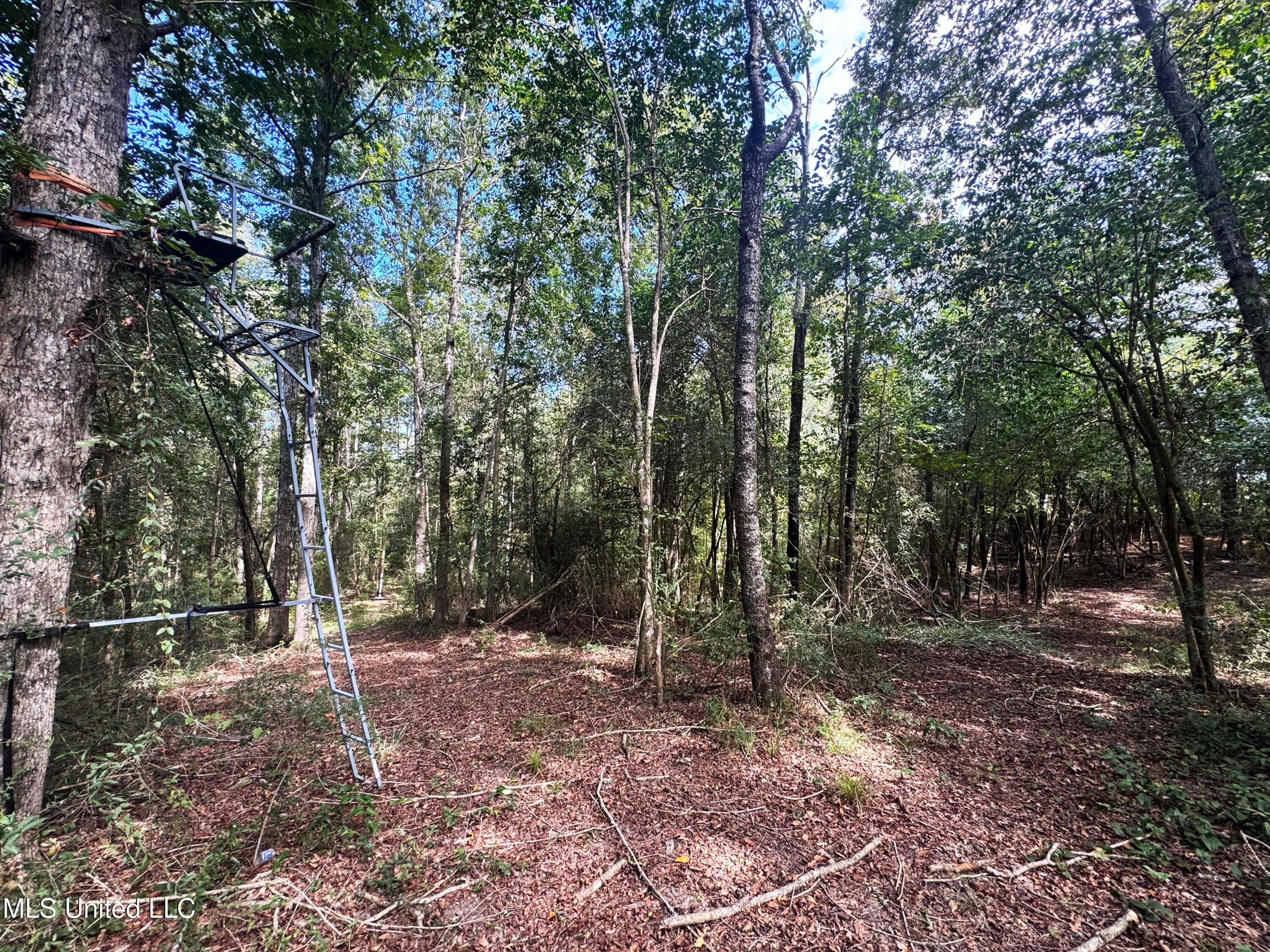 222 Log Cabin Road Property Photo 51