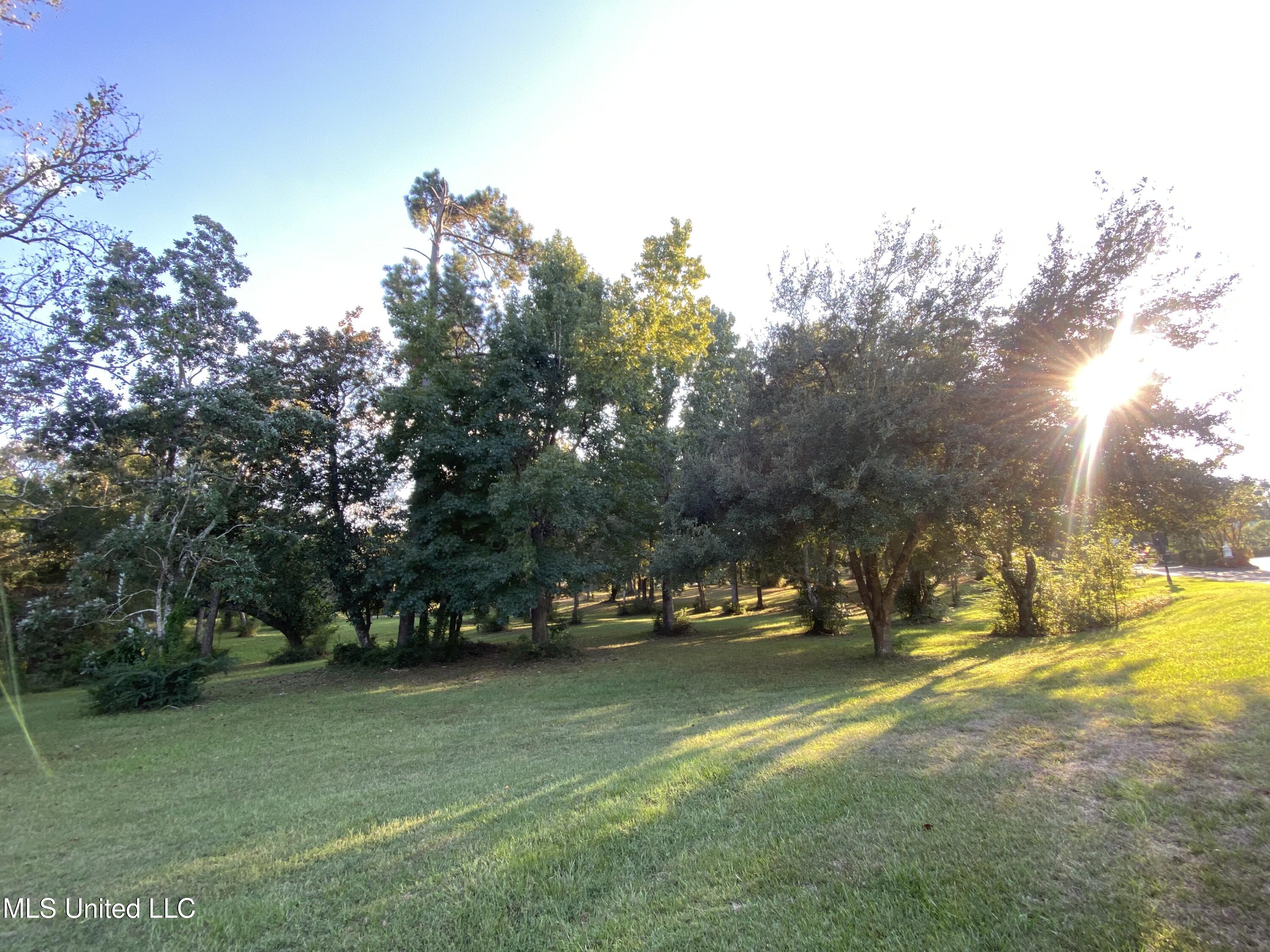 Woodland Dr Drive Property Photo 1