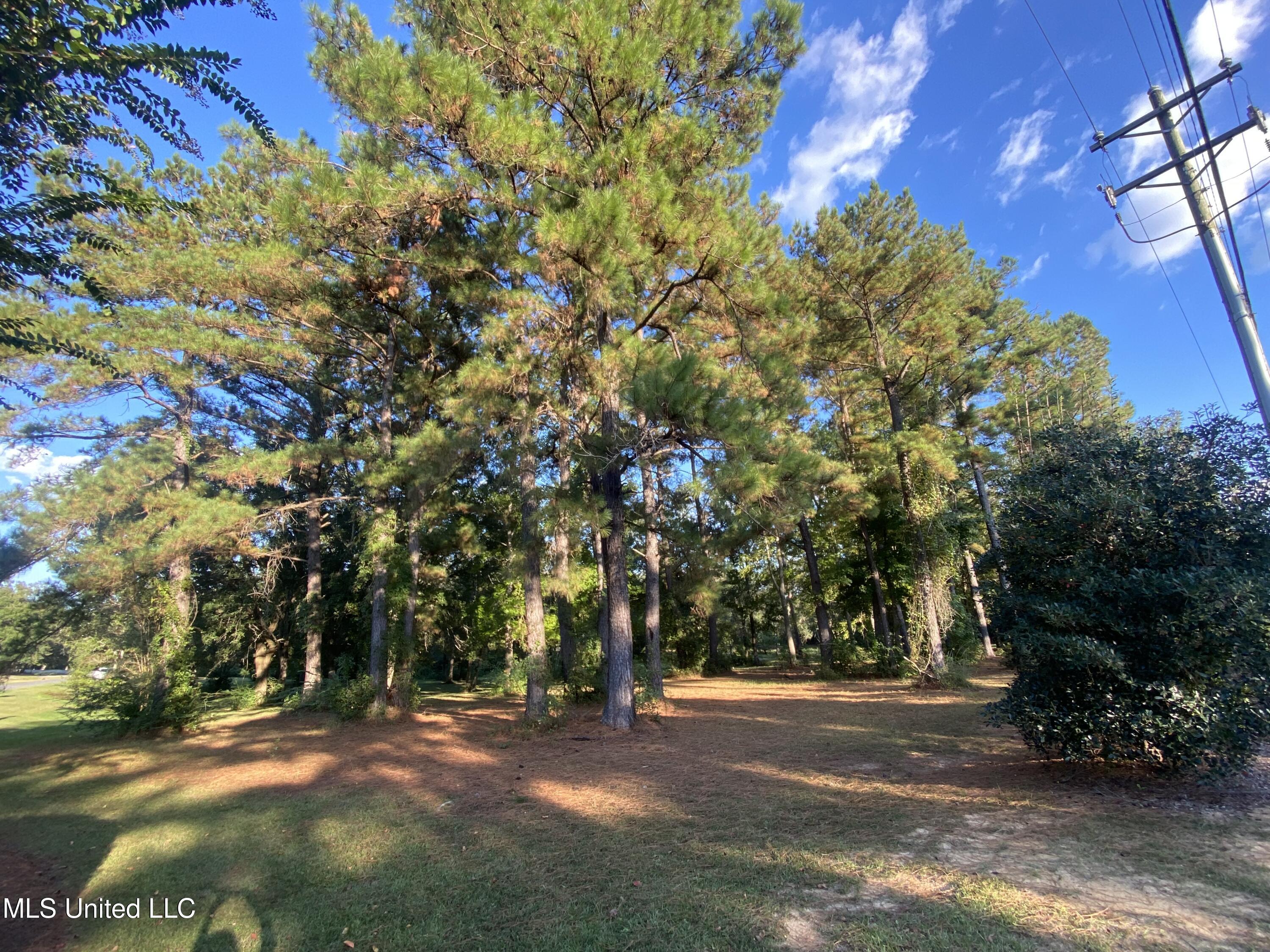 Woodland Dr Drive Property Photo 3