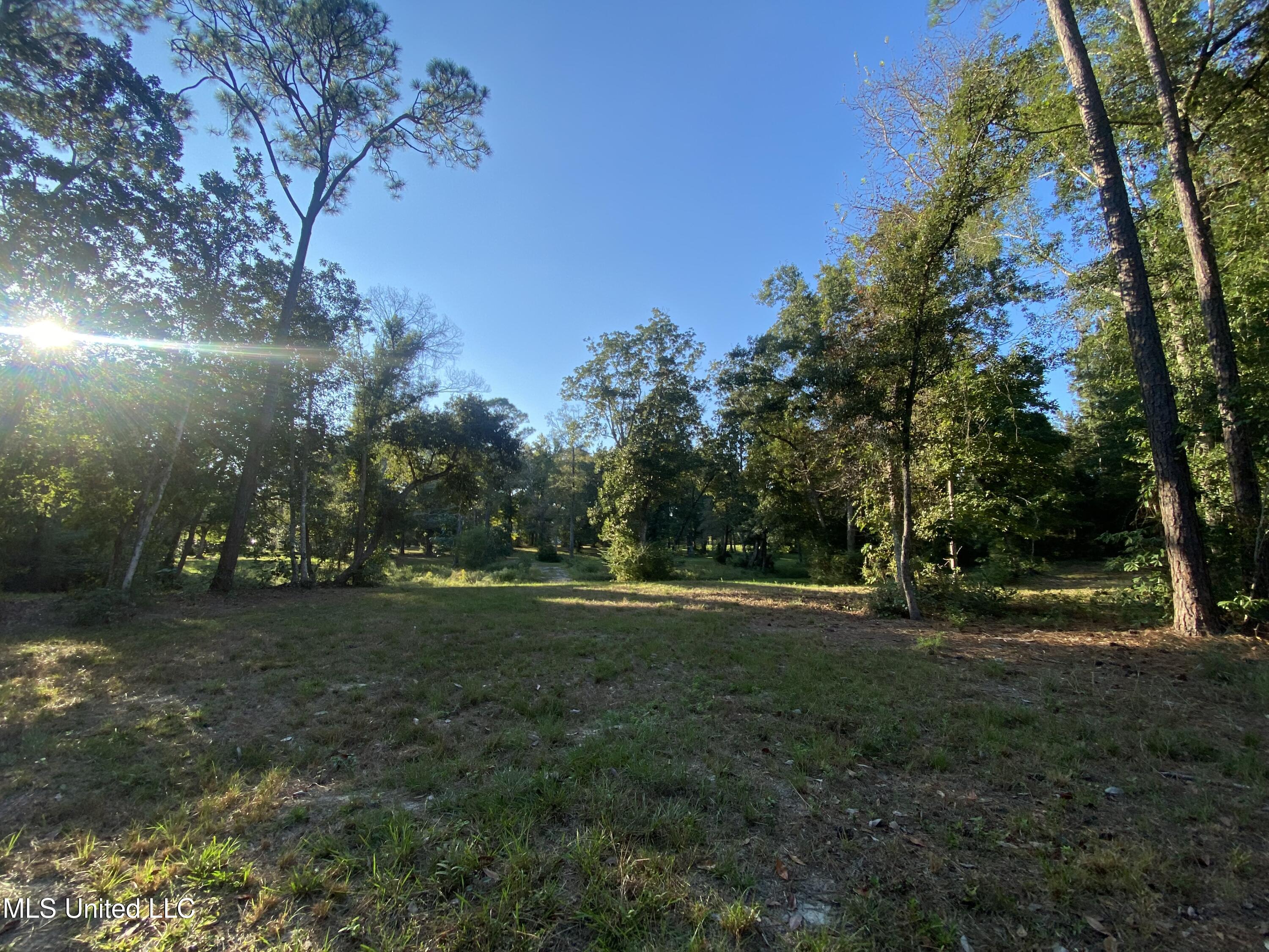 Woodland Dr Drive Property Photo 6