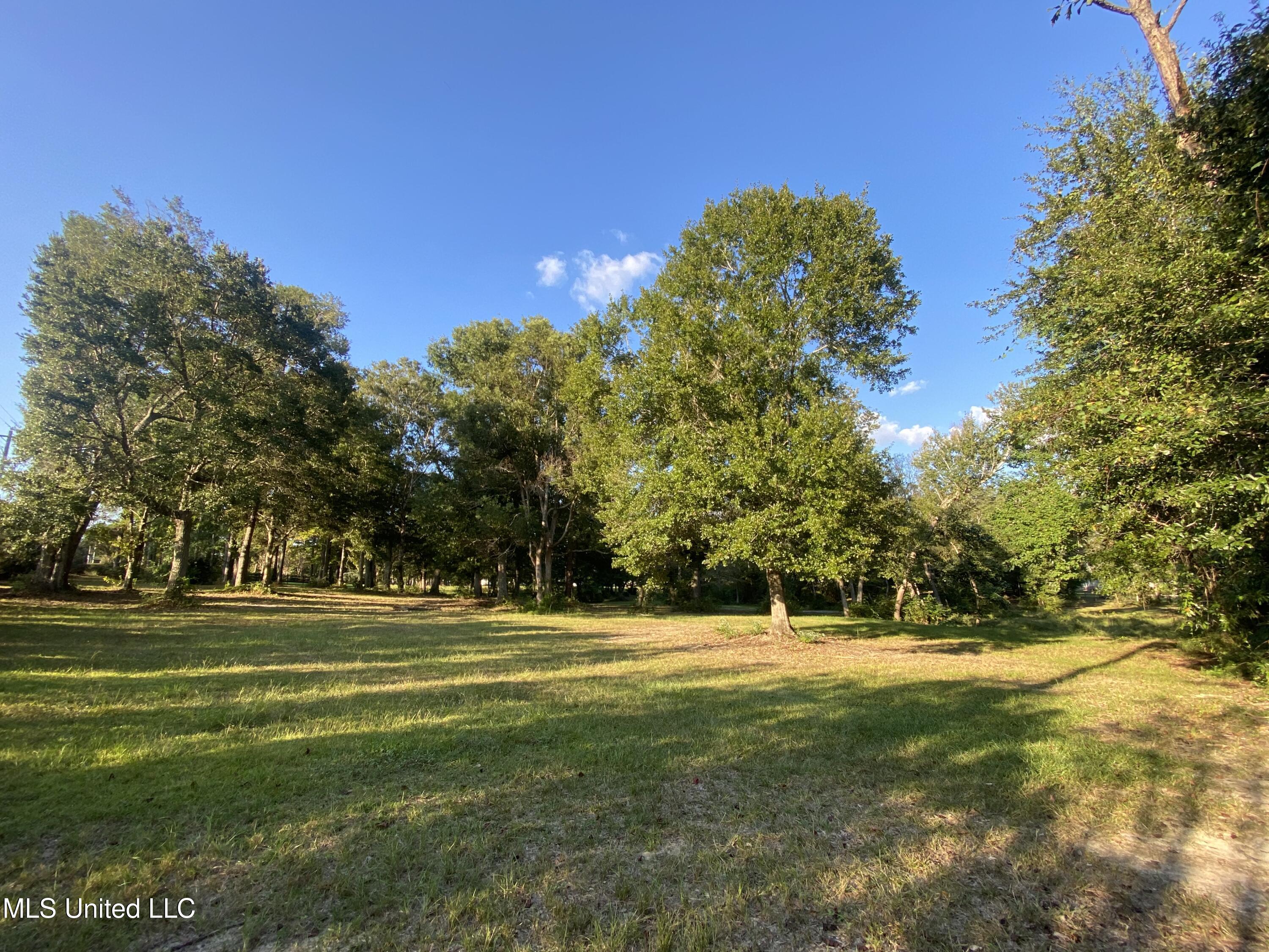 Woodland Dr Drive Property Photo 7