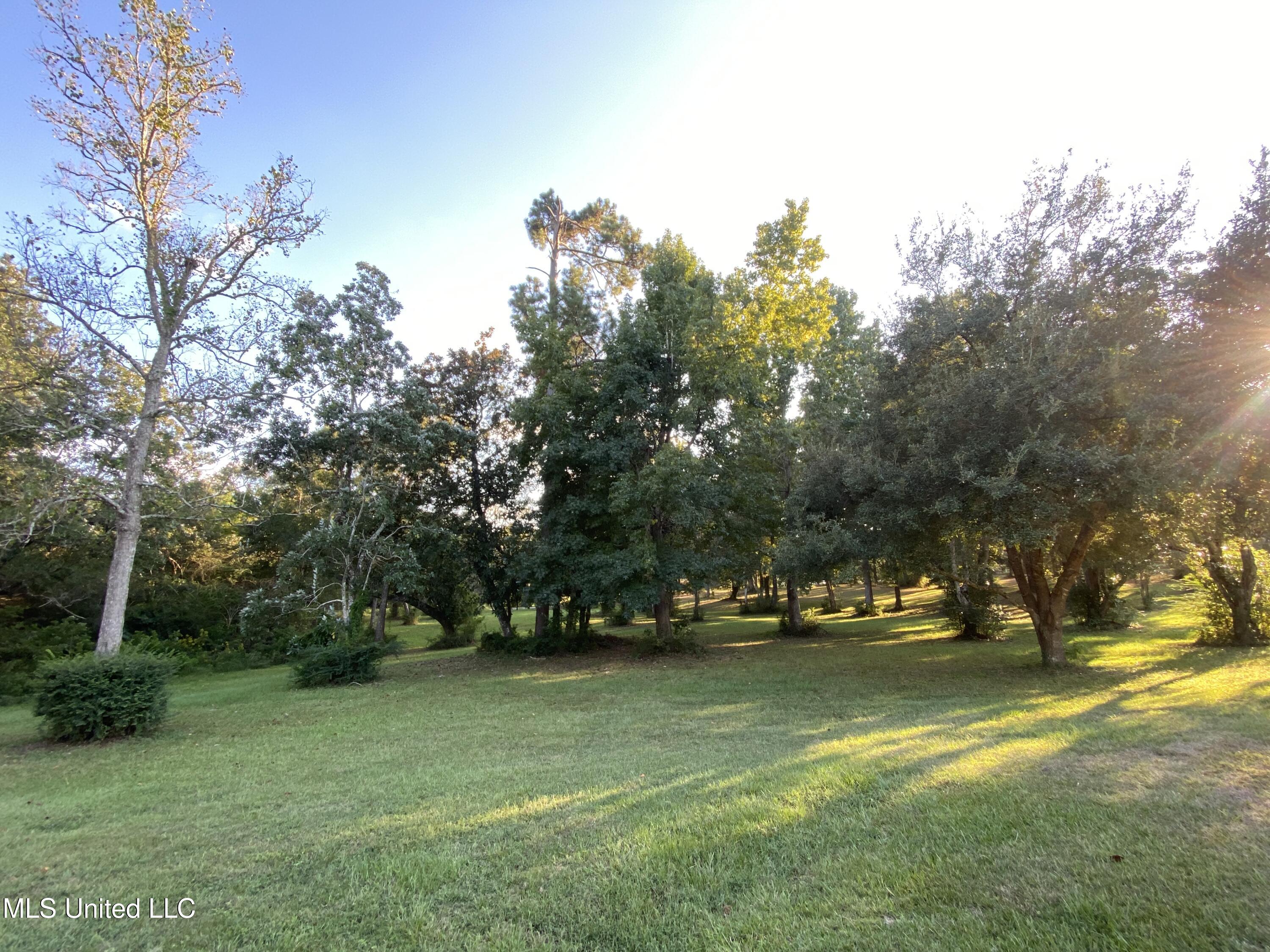 Woodland Dr Drive Property Photo 8