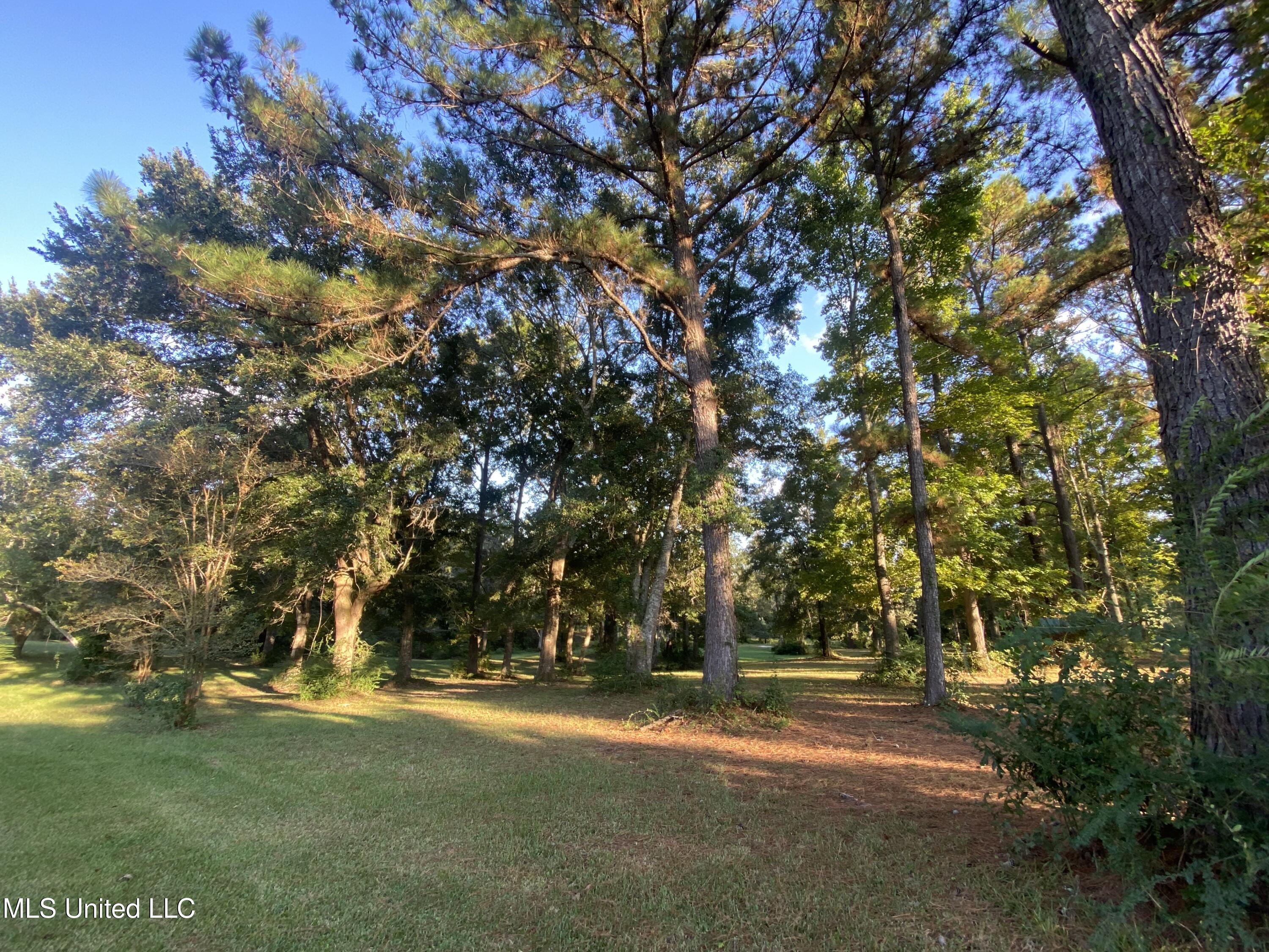 Woodland Dr Drive Property Photo 9