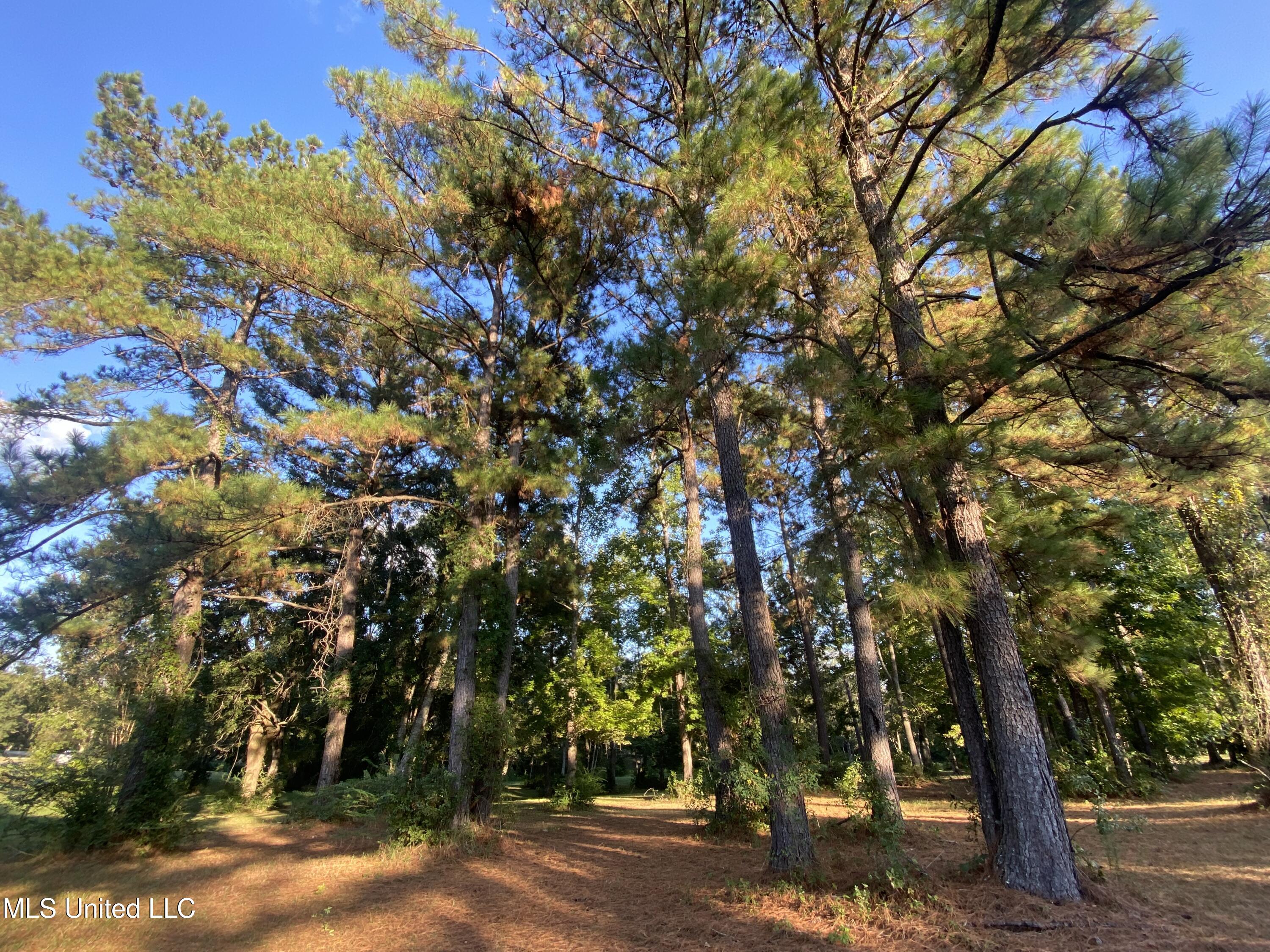 Woodland Dr Drive Property Photo 10