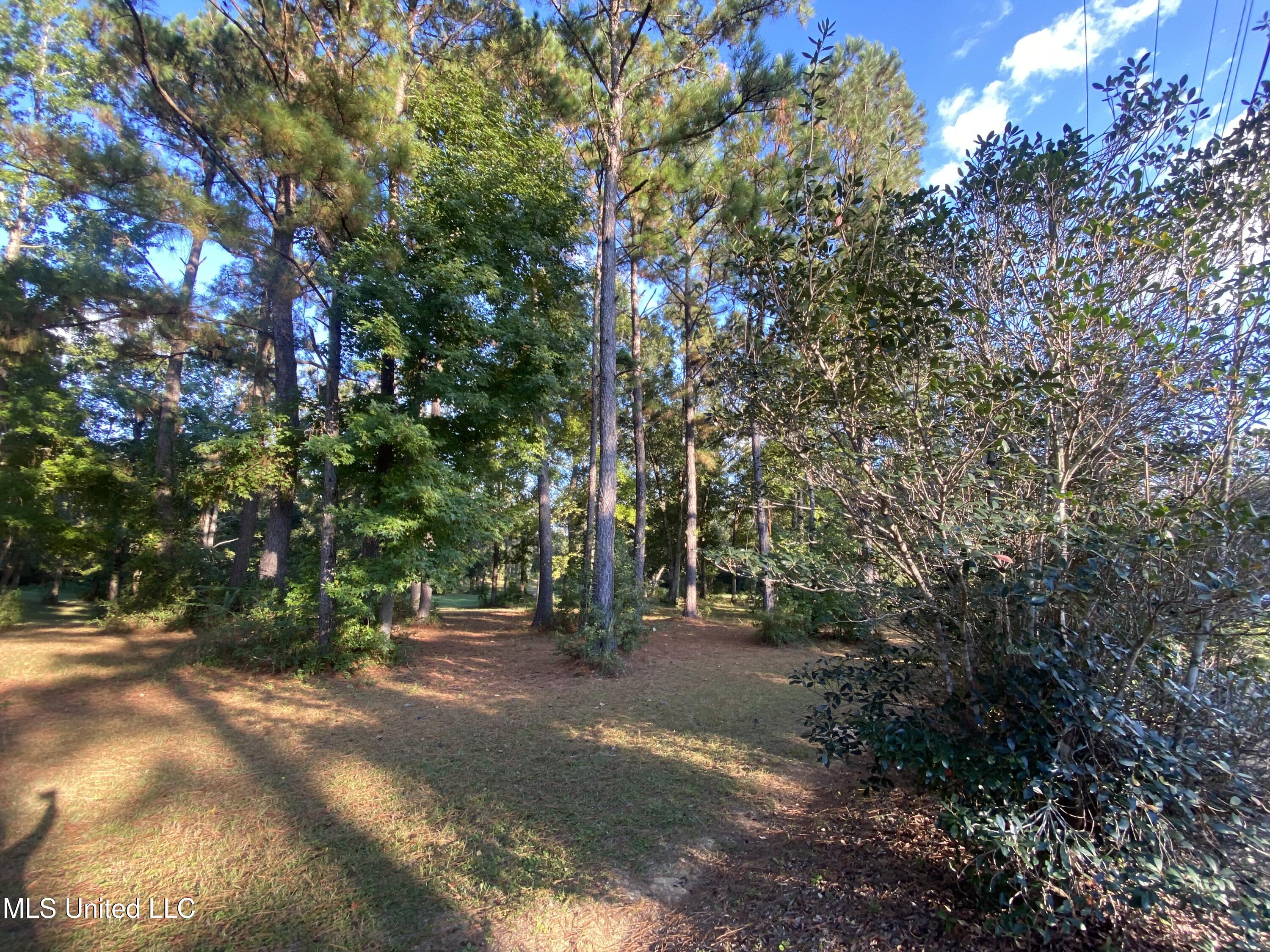 Woodland Dr Drive Property Photo 11