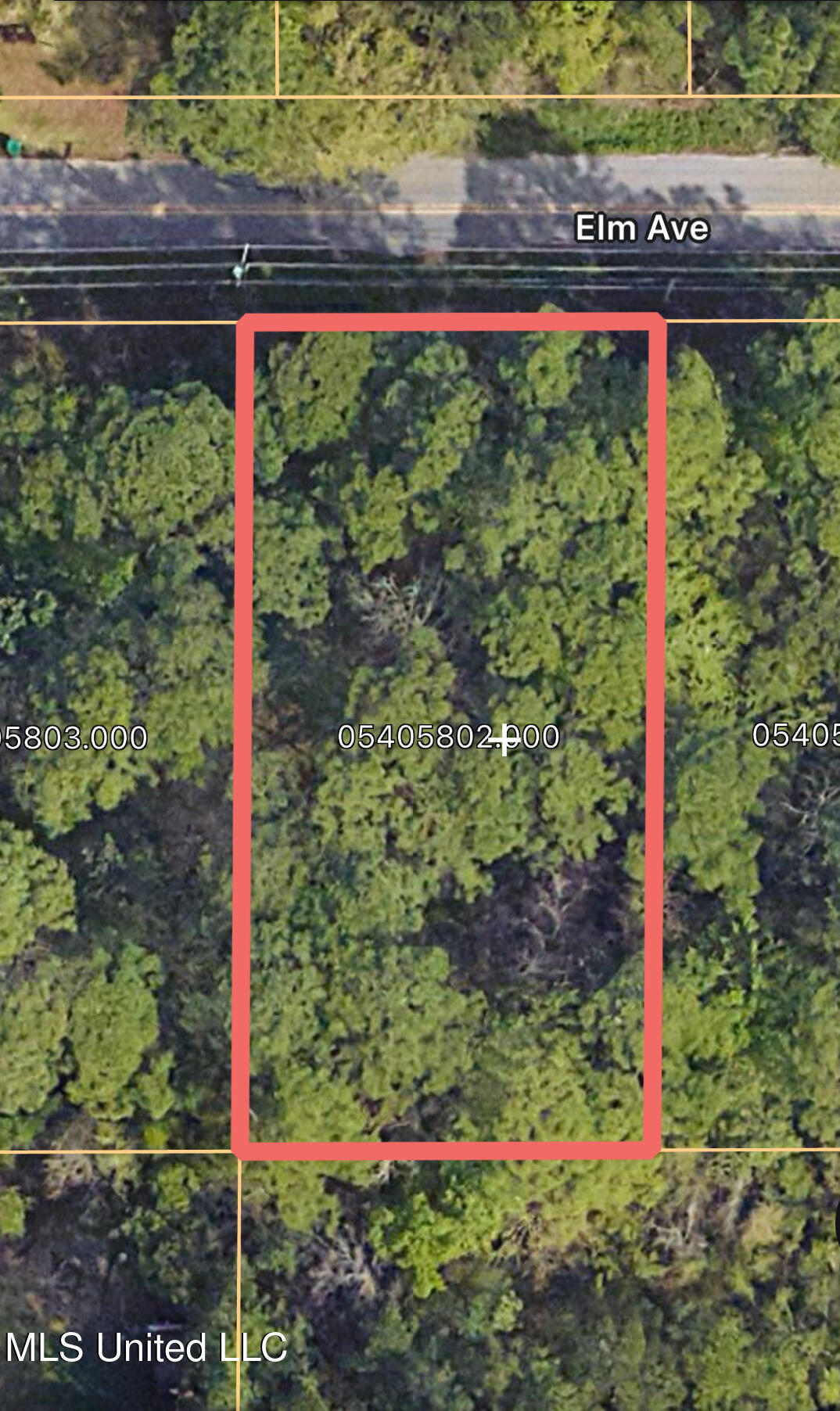 Elm Avenue Property Photo 2